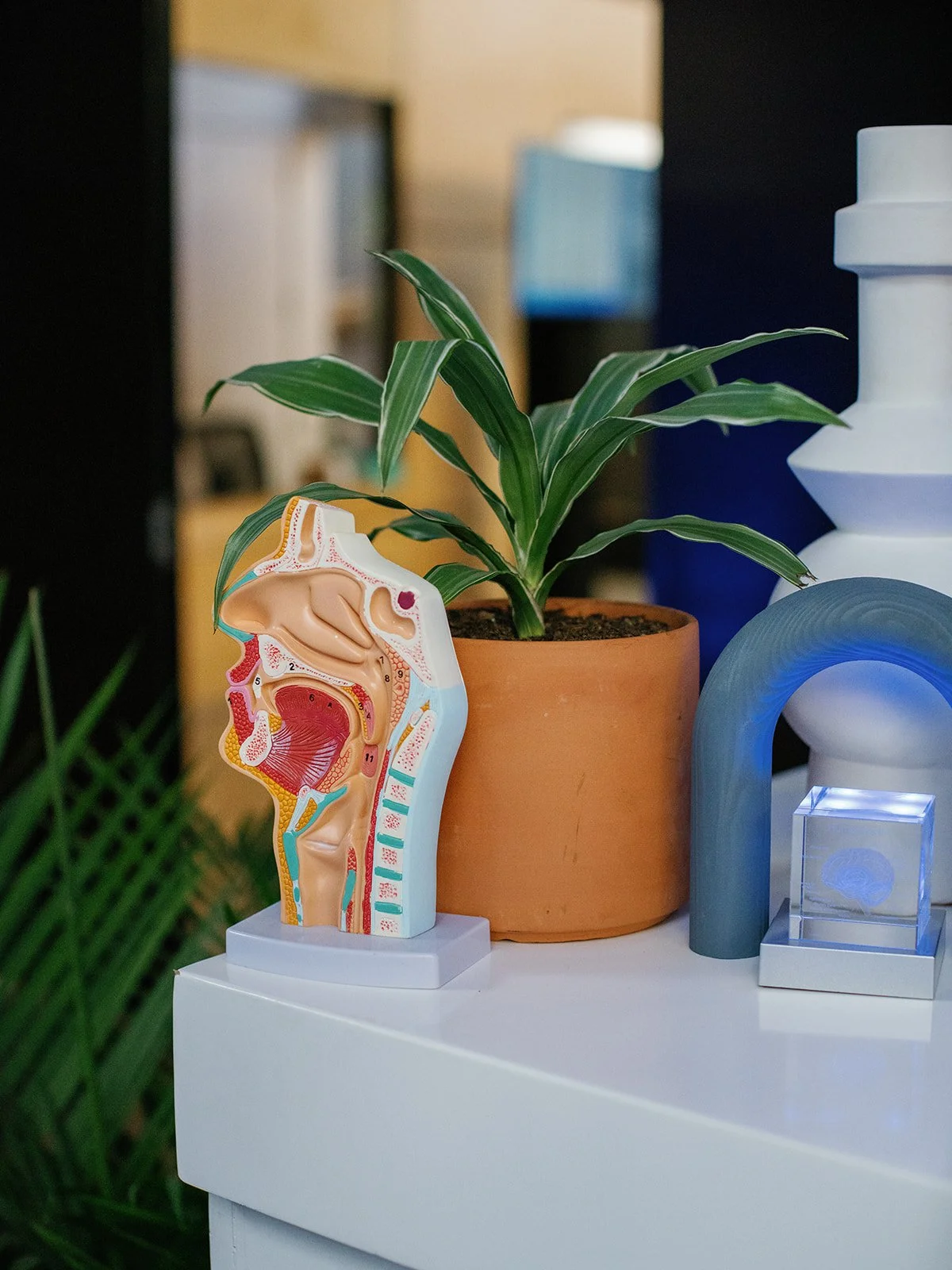 2024.10.19 Doximity Conference0307_websize.jpg