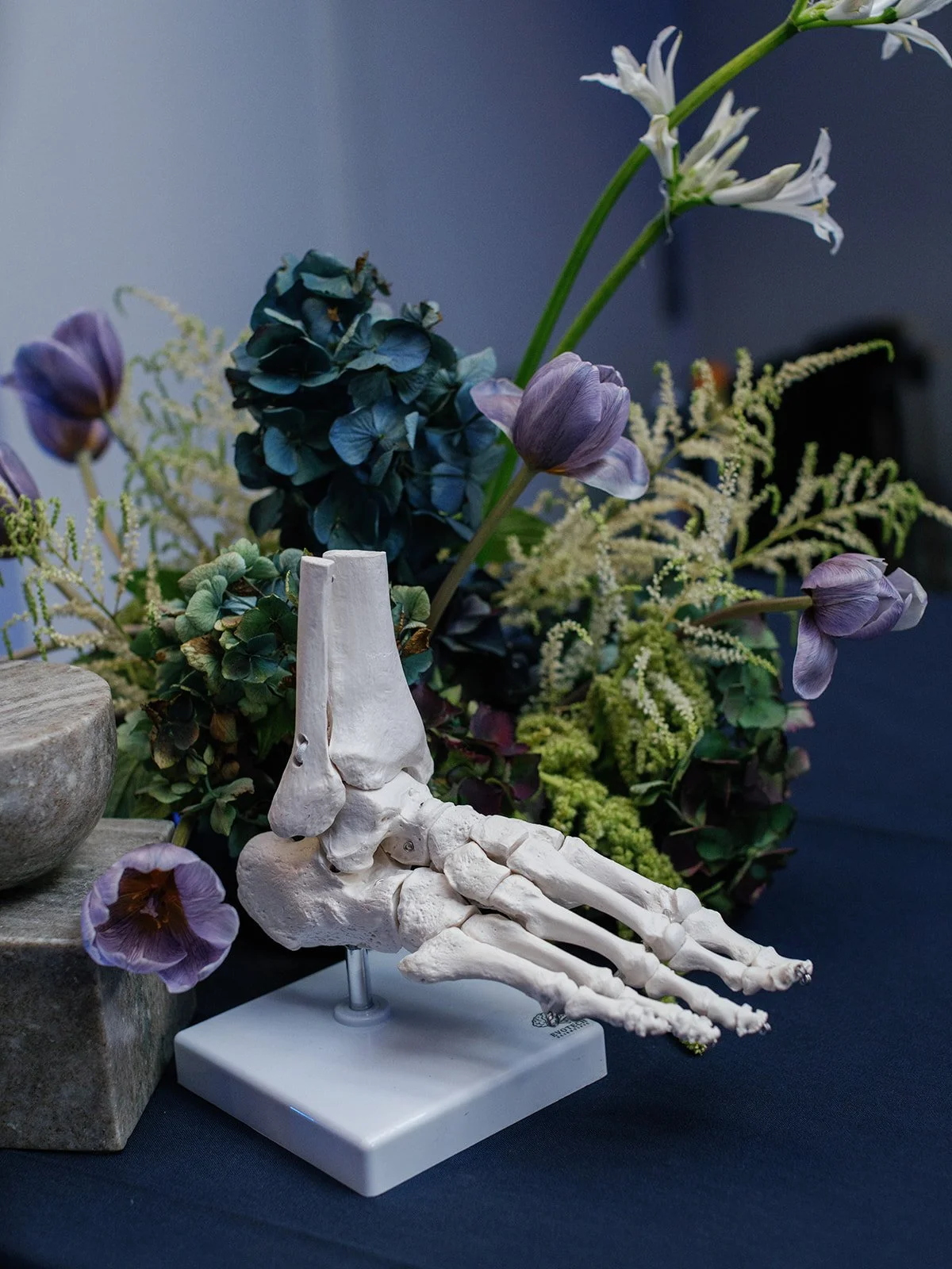 2024.10.19 Doximity Conference0301_websize.jpg