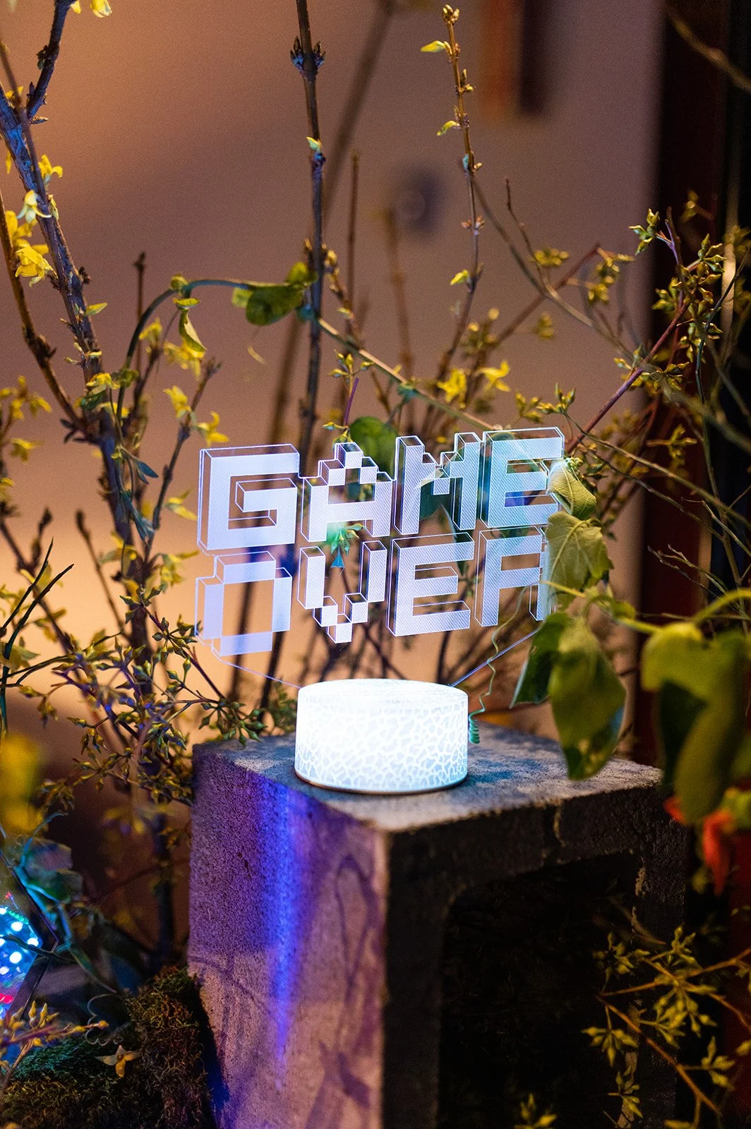 Ready Player 1 Finals-007_websize.jpg