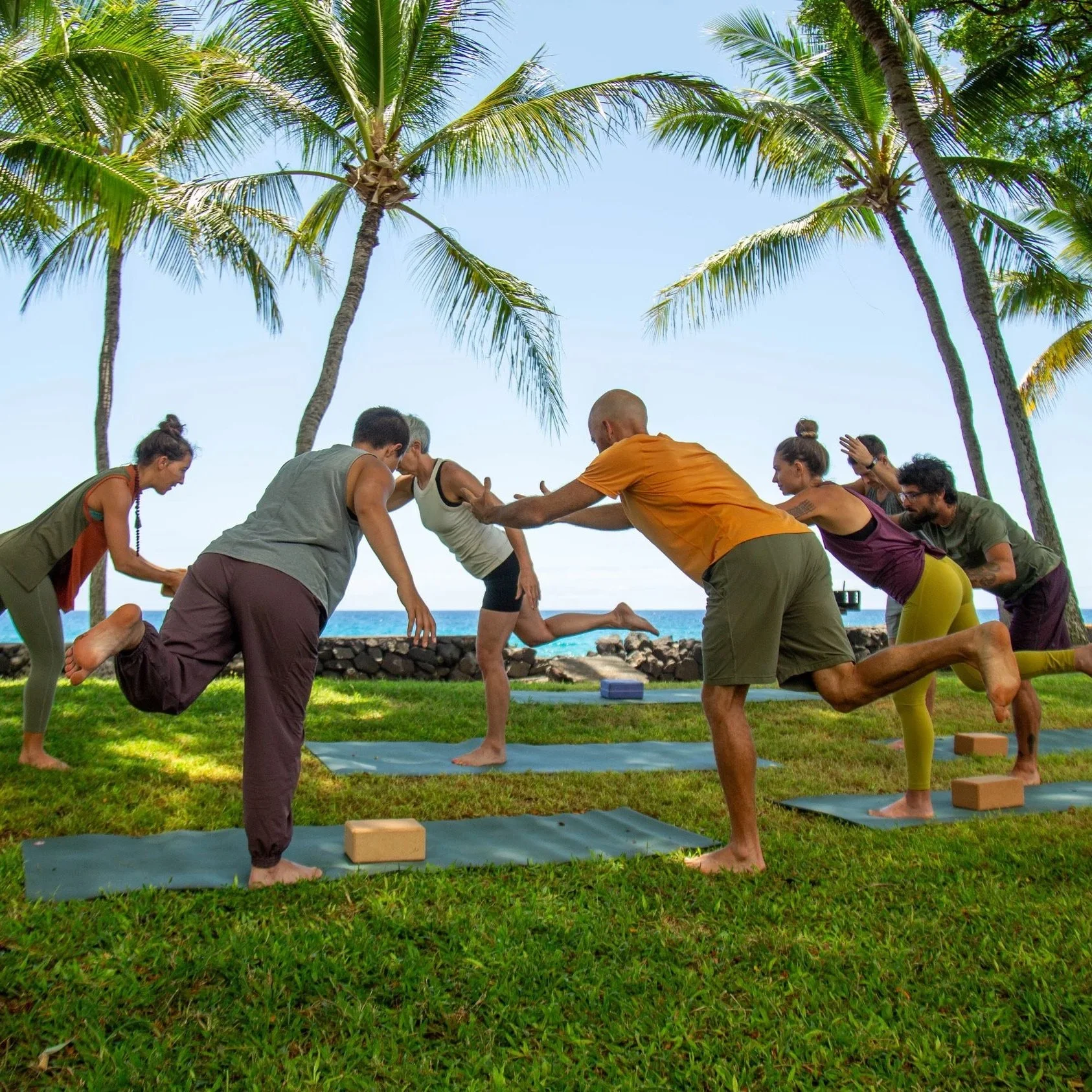 Yoga students practicing balance poses together beneath oceanfront palm trees.