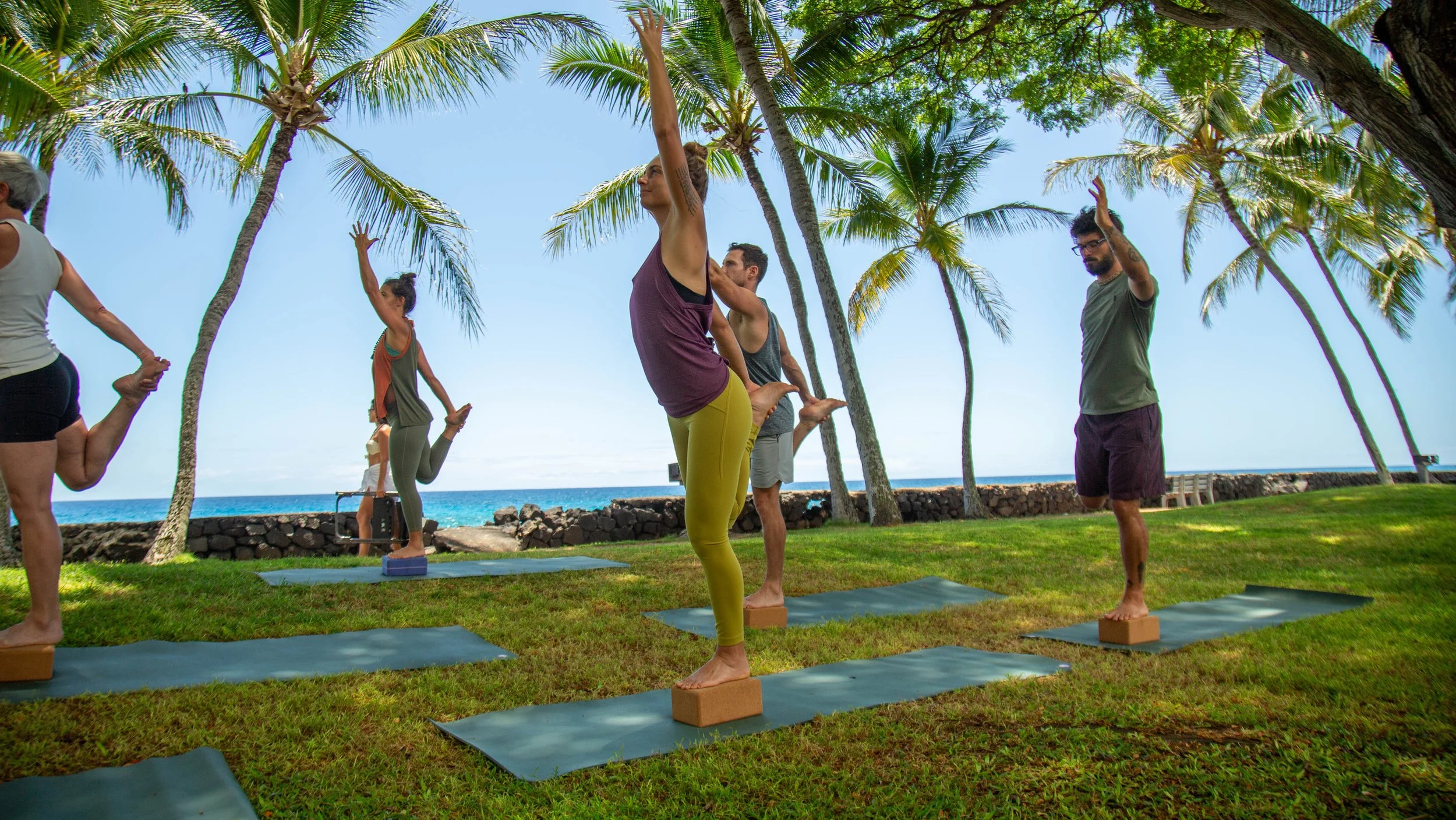 People practicing yoga on mats outdoors under palm trees by the ocean.