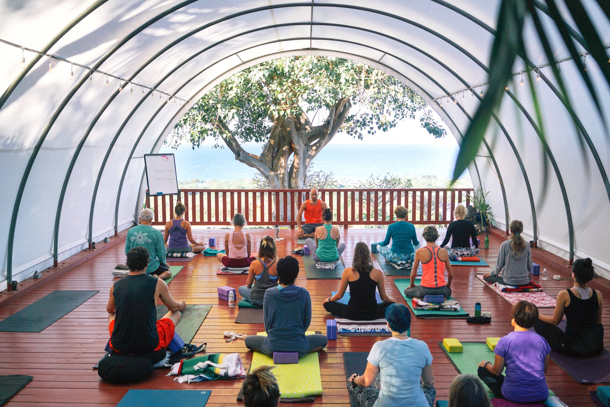 A group of people practicing yoga in an indoor tent with a view of trees and the ocean.
