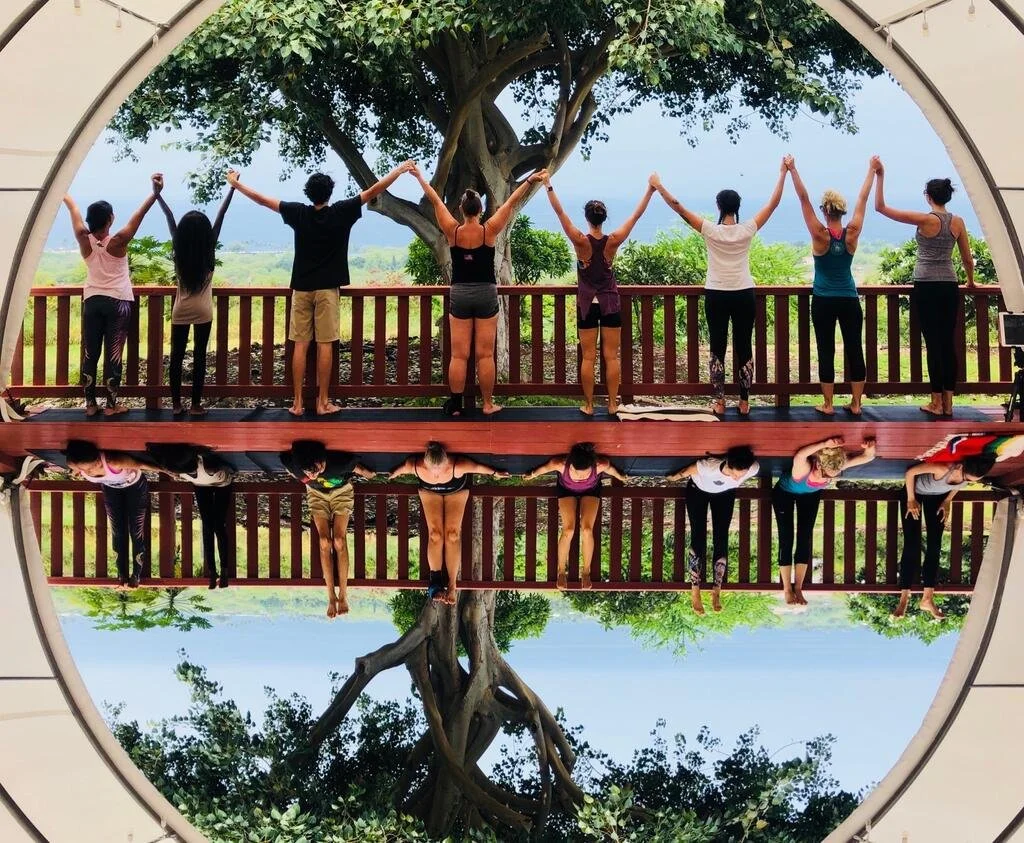 A line of yogis raise their arms to the sky while holding hands on a covered deck overlooking the ocean.