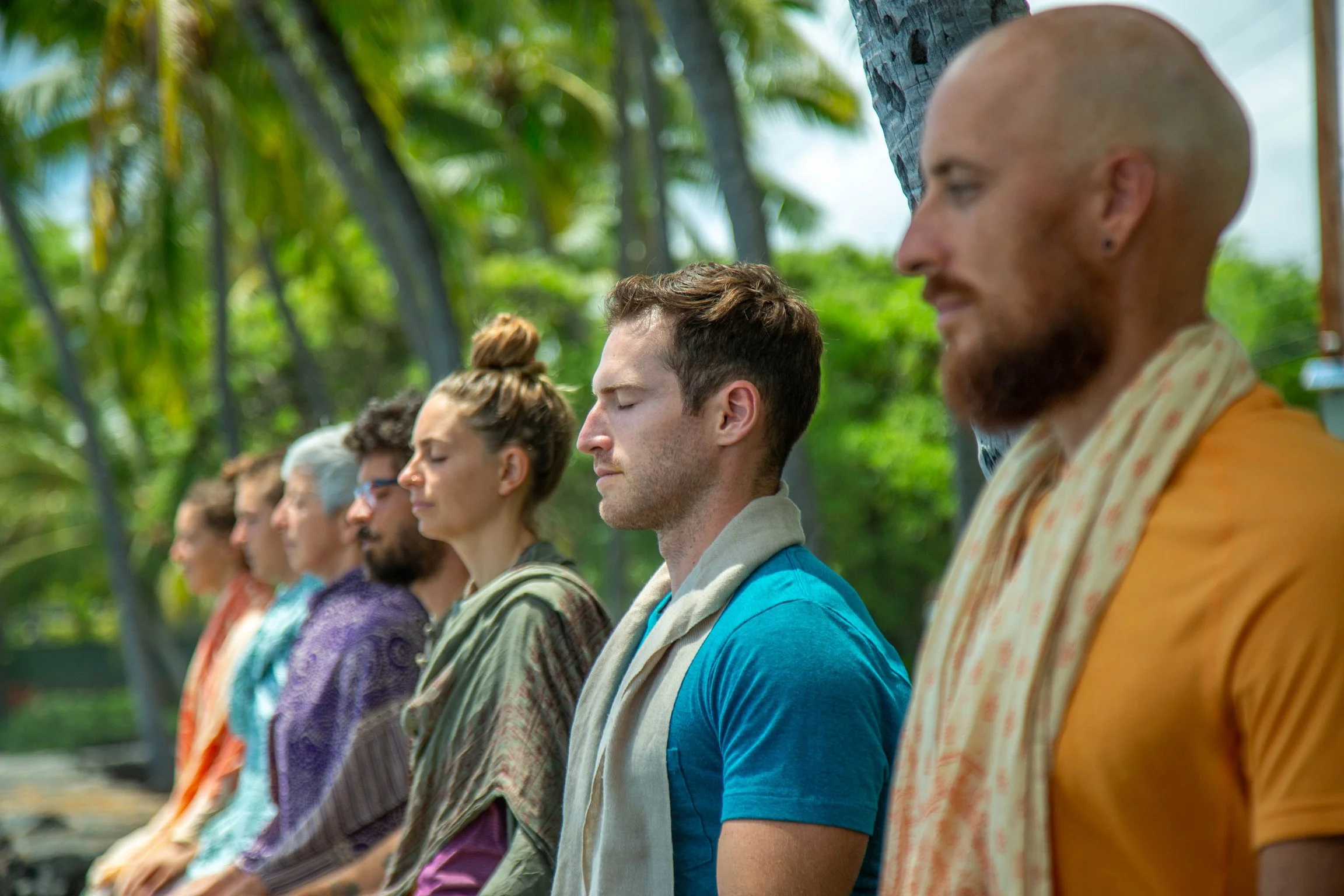 Six people sitting outdoors with their eyes closed meditating with lush green trees in the background.