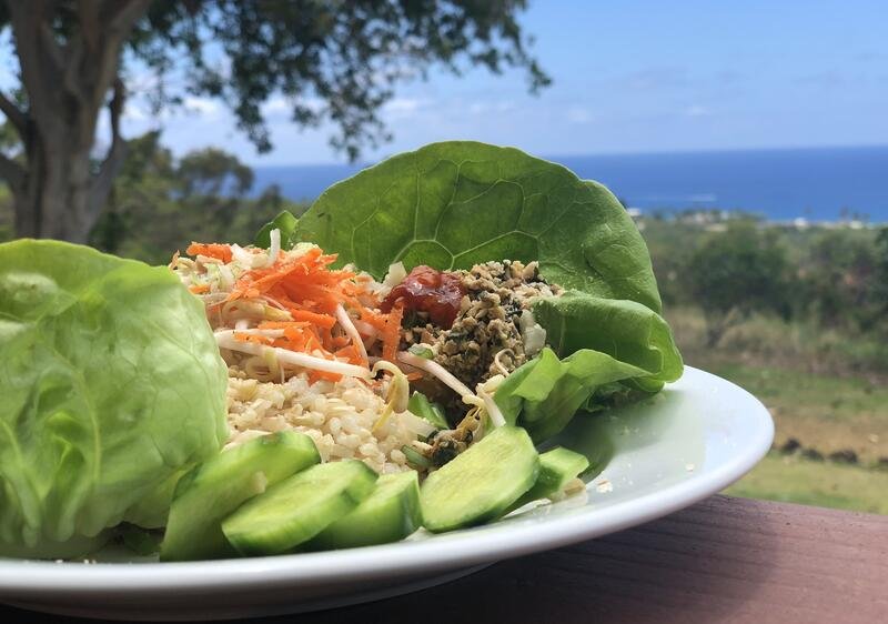 food4.jpg