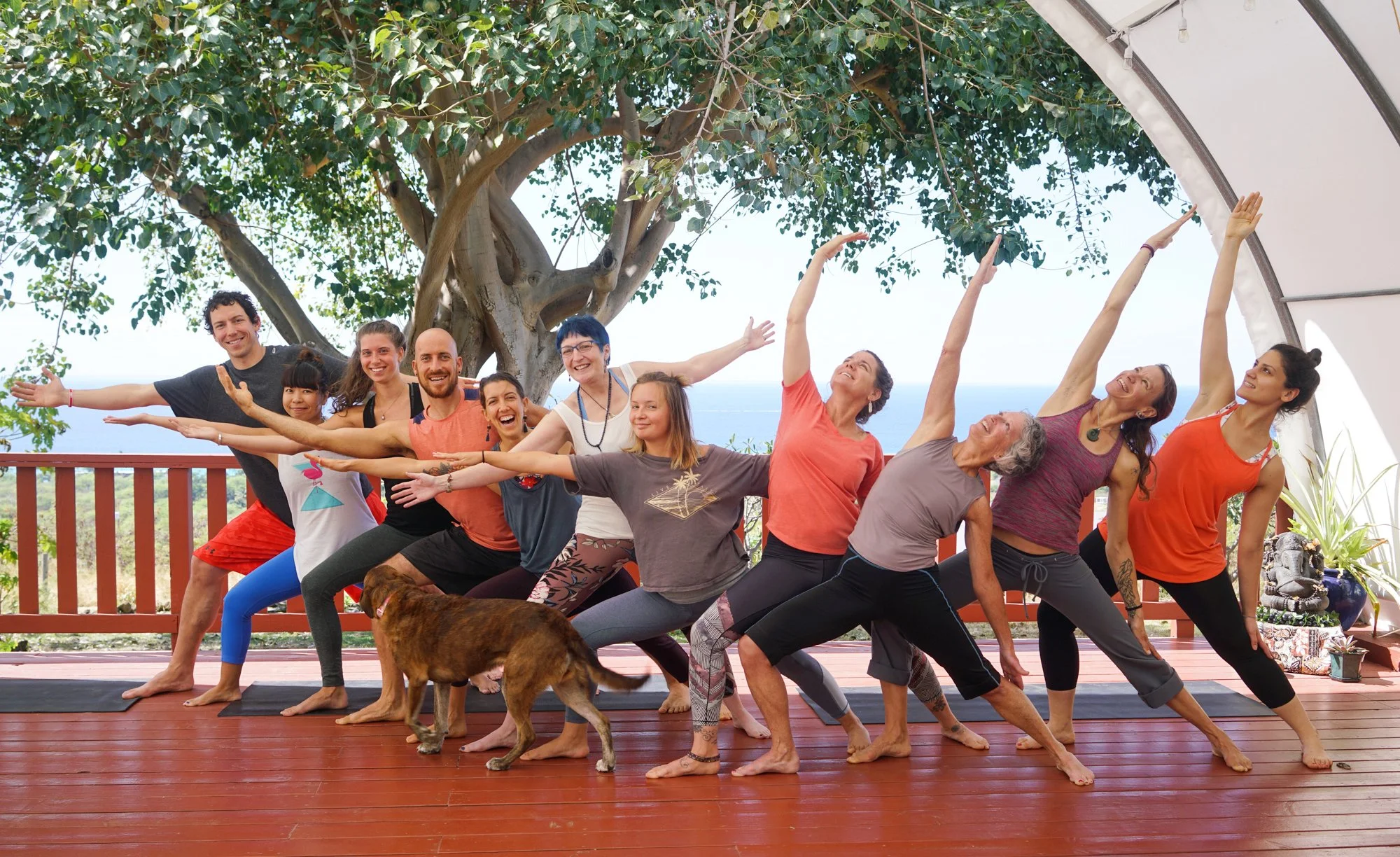 Group of ten people doing yoga pose on a wooden deck outdoors, under a large tree, with a dog nearby, in a sunny setting.
