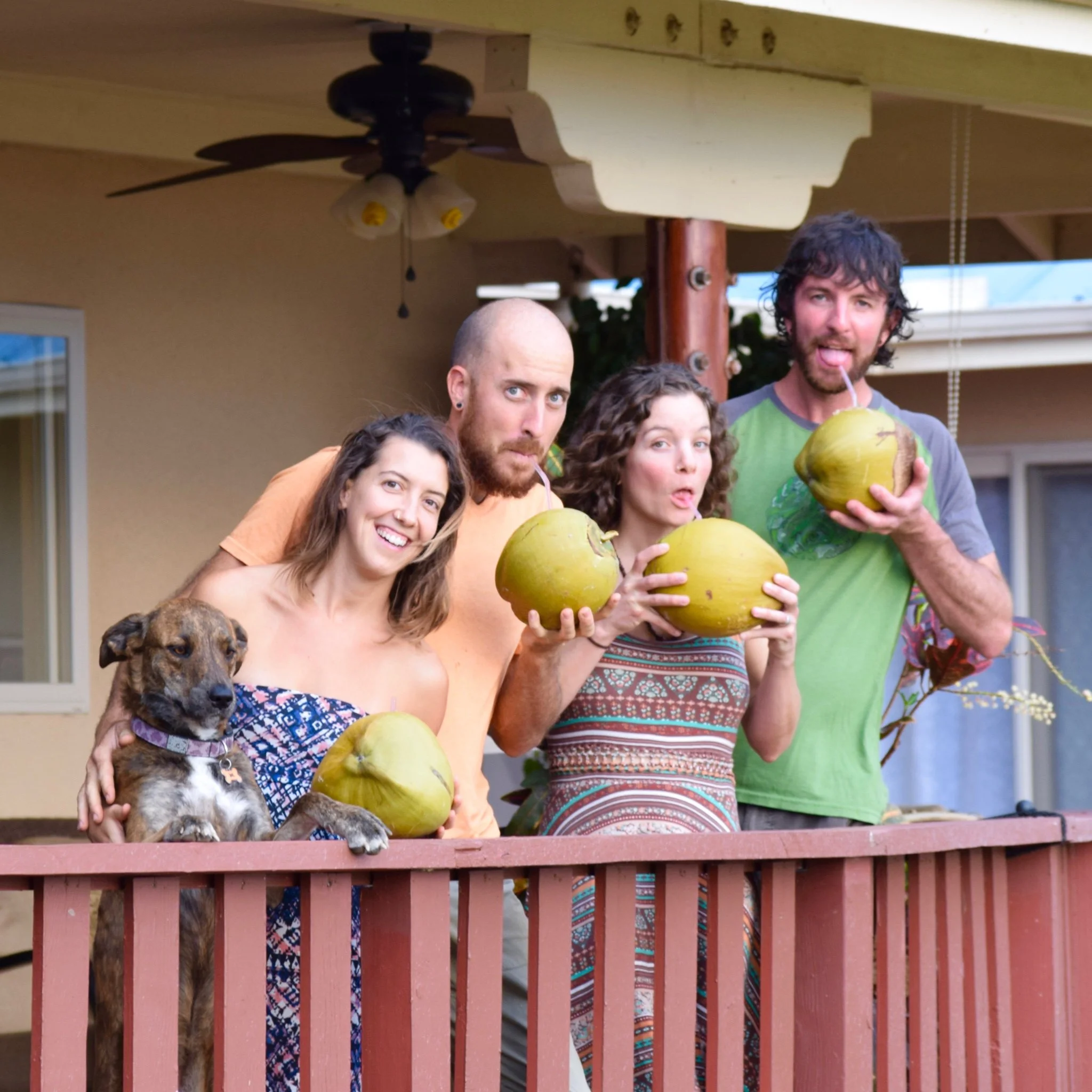 Friends enjoying fresh coconuts on the Konalani porch.