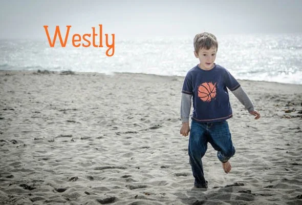 Westlini