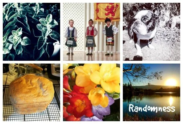 Randomness 2015 - Series #1