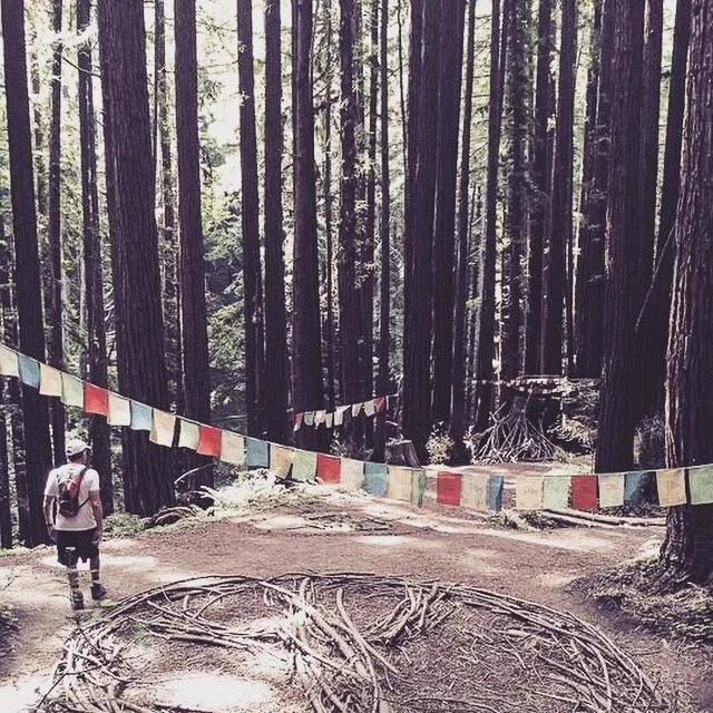 Hiking in the Santa Cruz Mountains