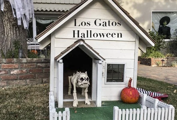Halloween Prep in Los Gatos
