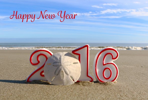 Happy New Year!!