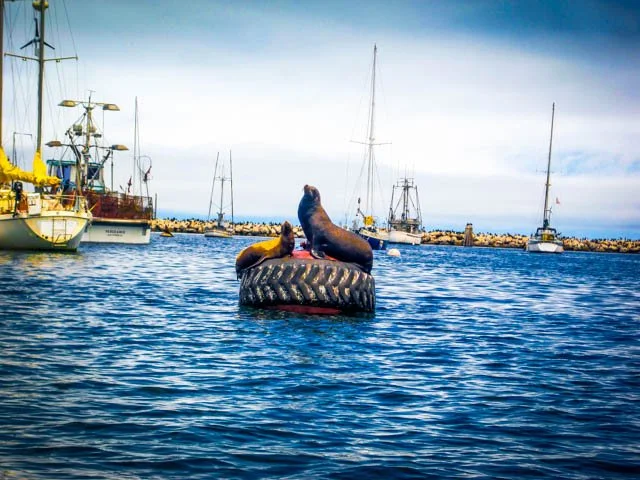 Re-discovering the Spirit of Monterey California