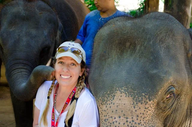 Travels in Thailand - Maesa Elephant Camp