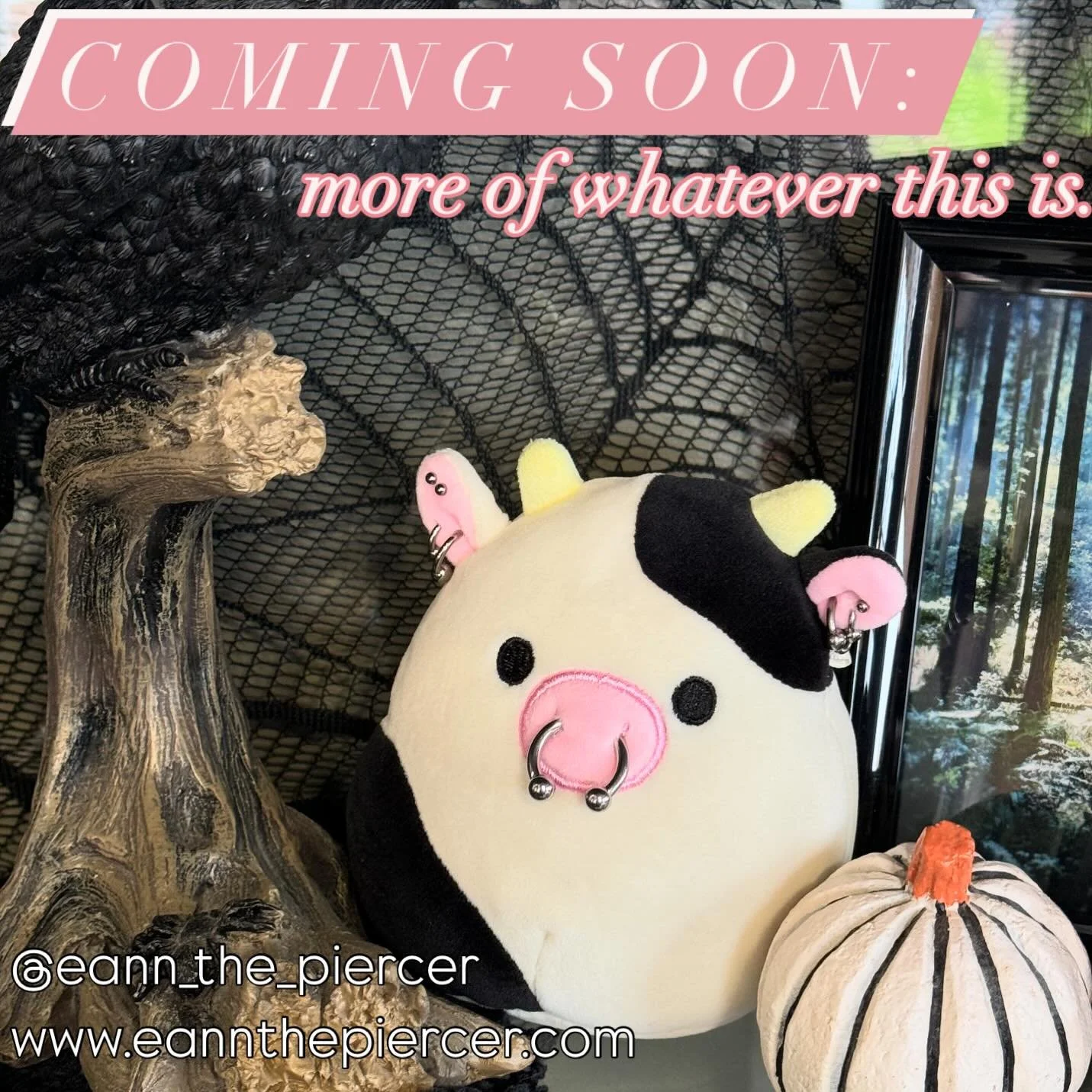 In case you didn’t see mention of it in my stories a few days ago:
I have been collecting some little critters (gifted, thrifted, or won out of a claw machine) and I will be styling them with multiple piercings. Not sure what I will be pricing