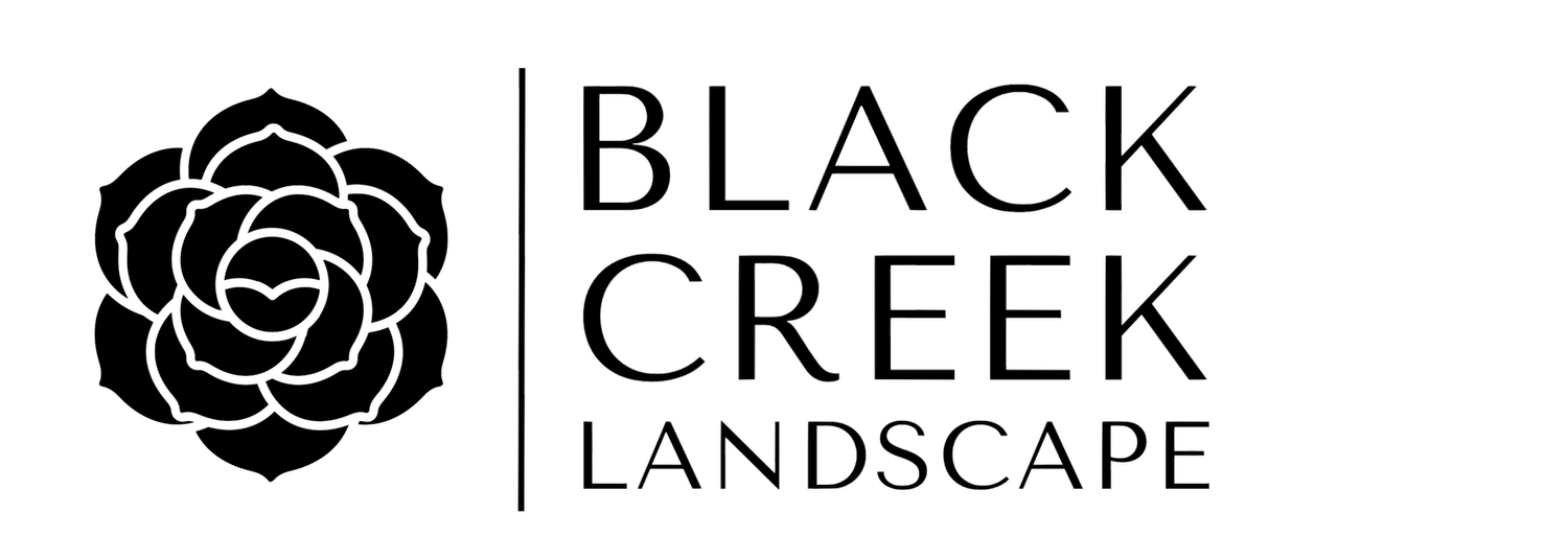 Black Creek Landscape