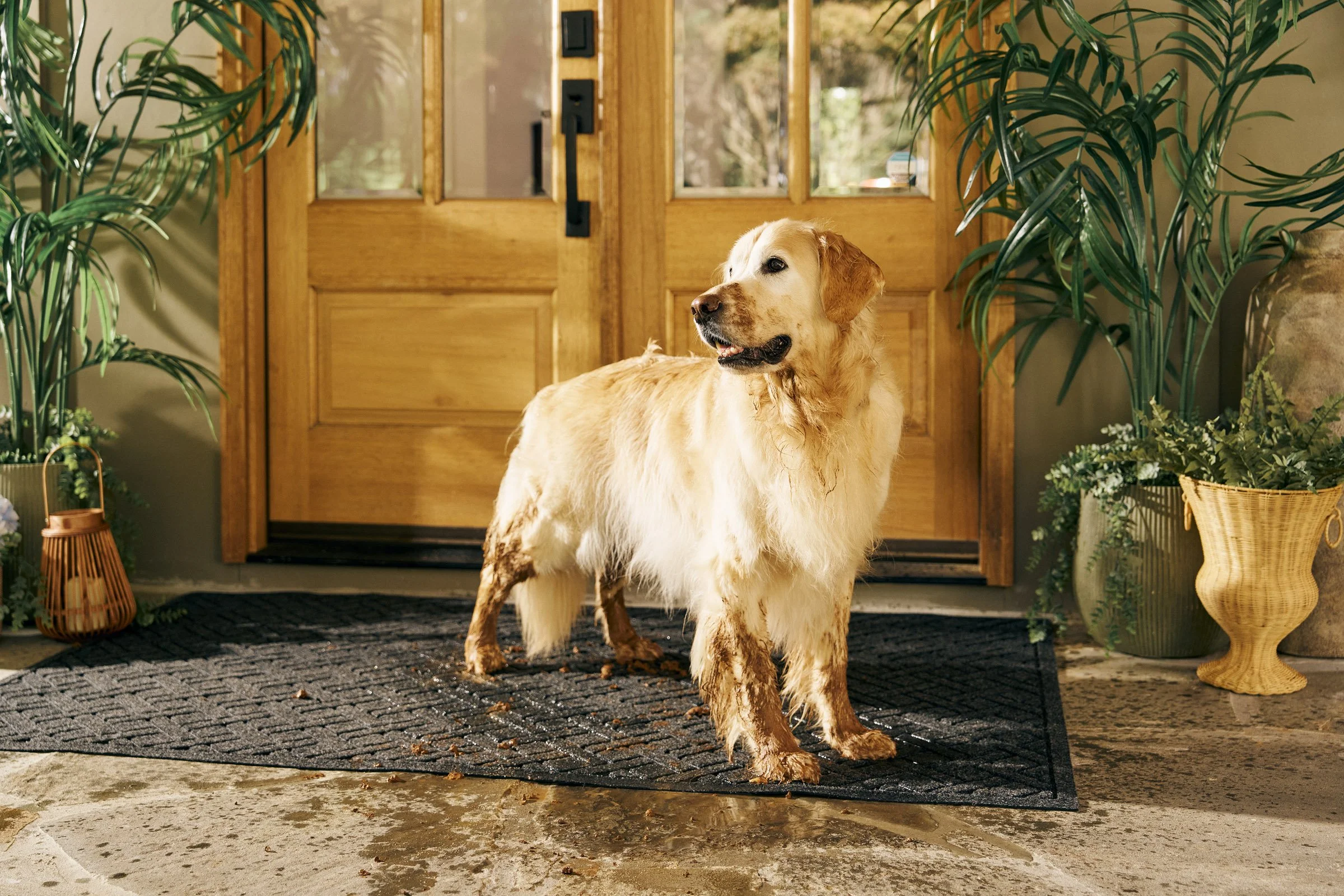 Copy of Hales Photo-WaterHog-0526.jpg