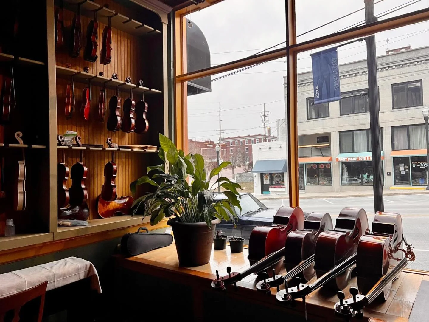 New plant, new busted cellos! The cold snap was hard on the cellos. Thanks for the Lily, @brittanyfaithpalmer 🙌