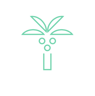 3-Month Pain-Free Marathon Program