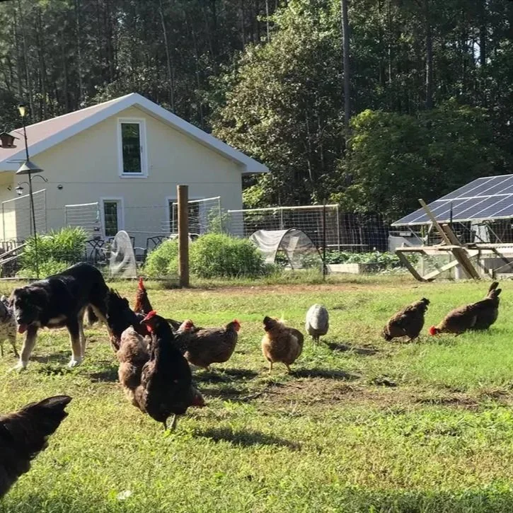 The Kakareko House Project