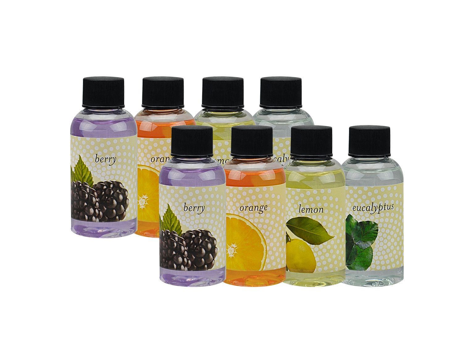 STANDARD 4 PK (X2 DEAL)