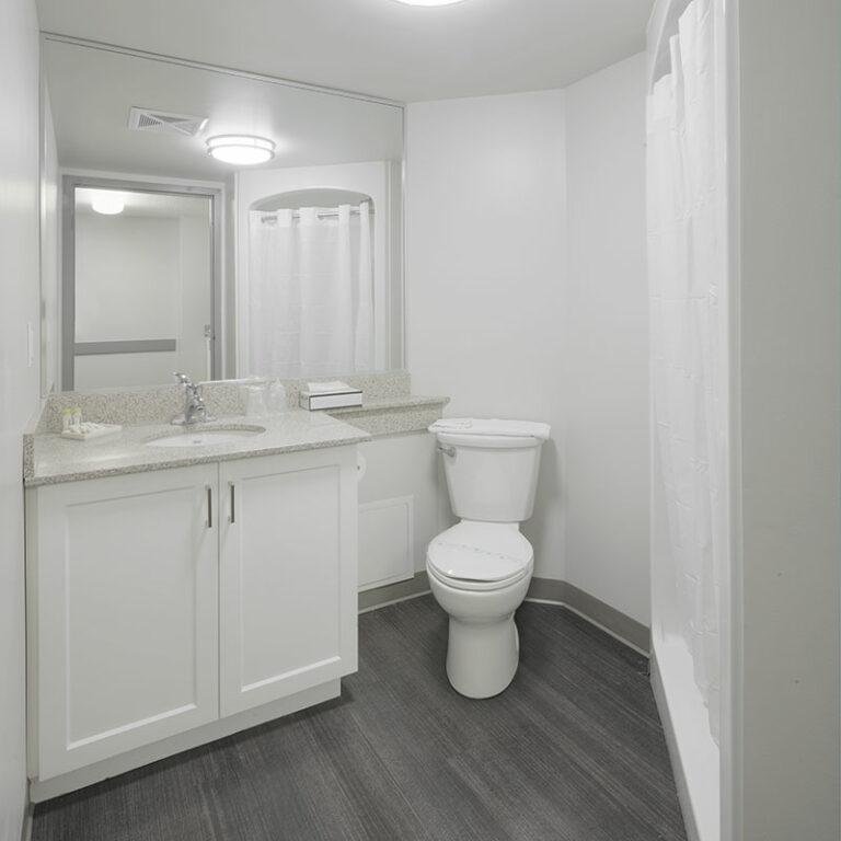 A clean bathroom with a white vanity, a mirror, a toilet, and a shower with a curtain.