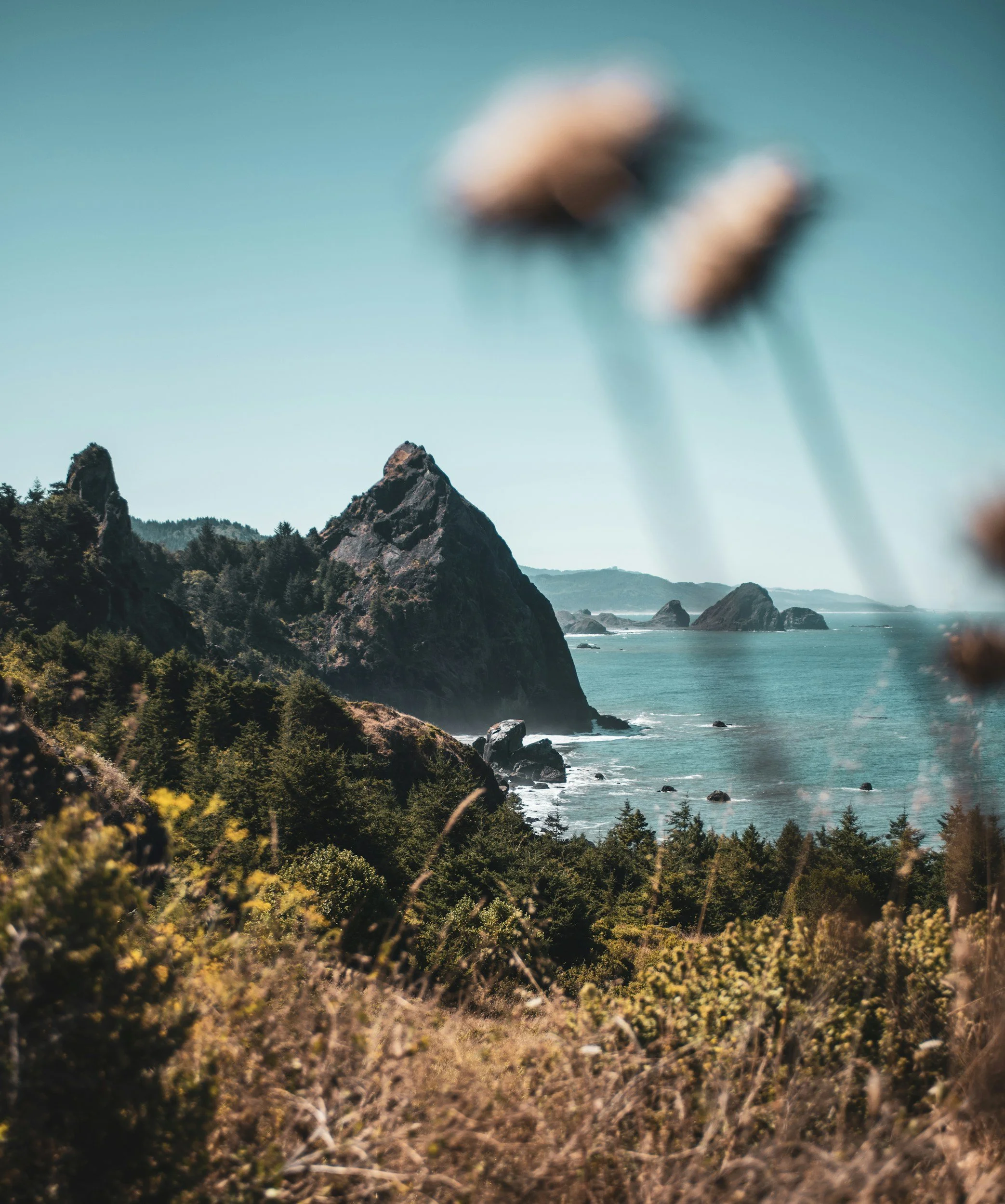 Washington coastline