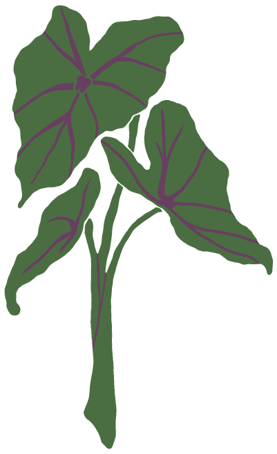 Taro Dental Hawaii - Family Dentistry in Hawaii Kai