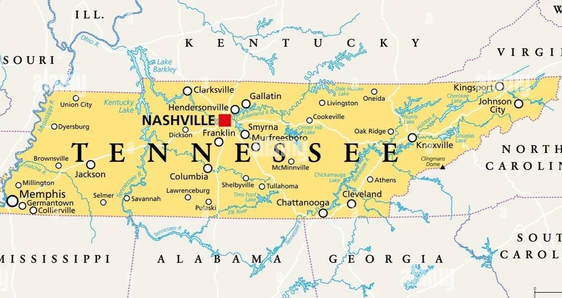 best movers in tennessee