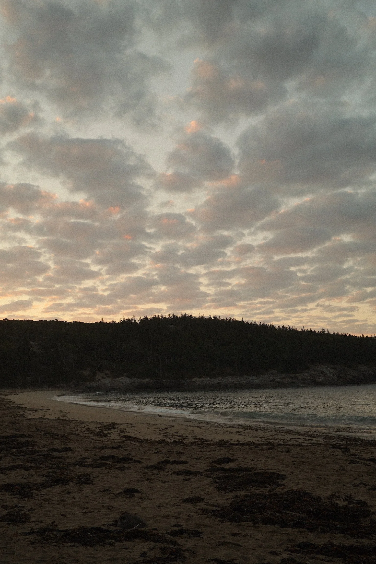 DSCF5203.JPG