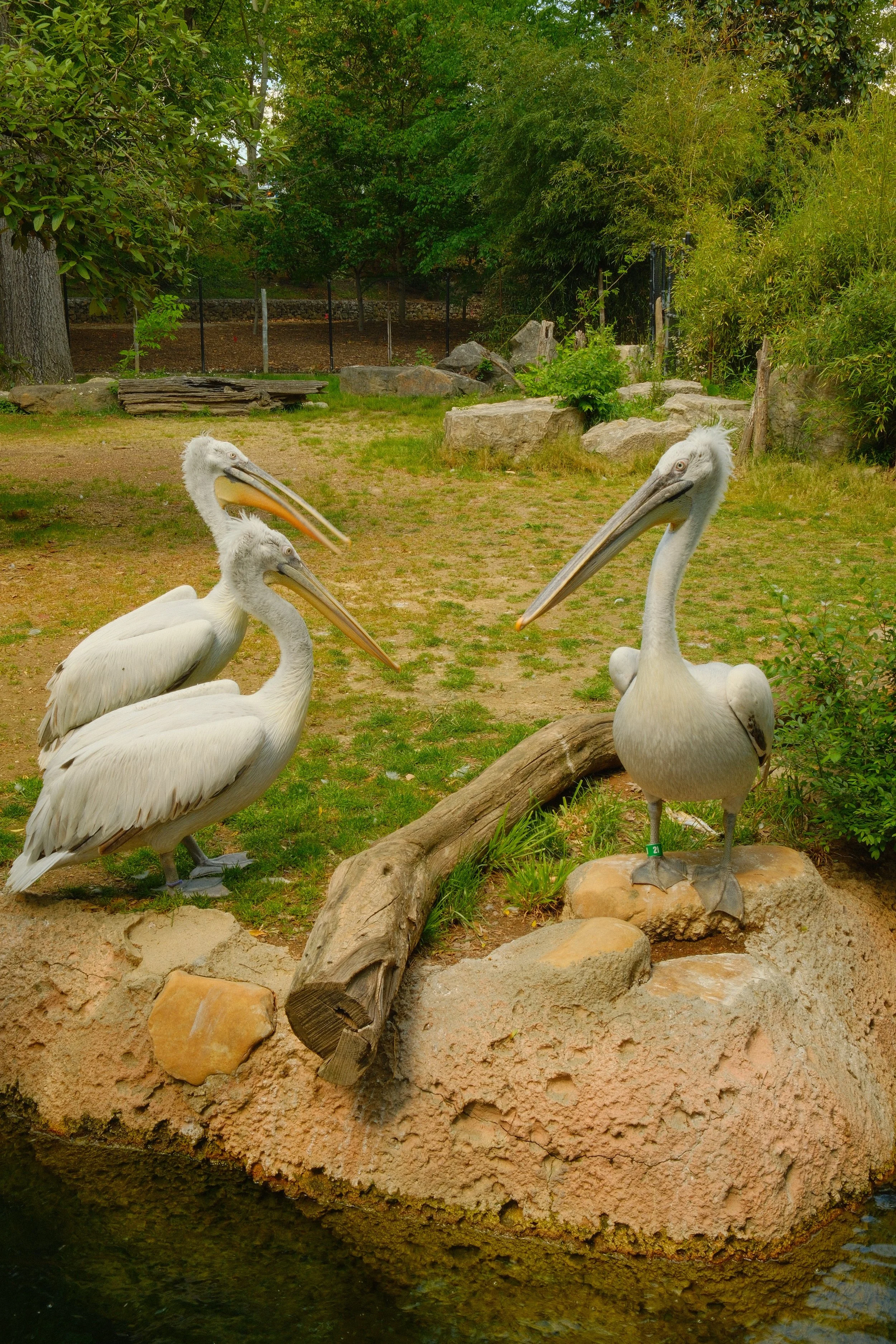 DSCF7691.JPG