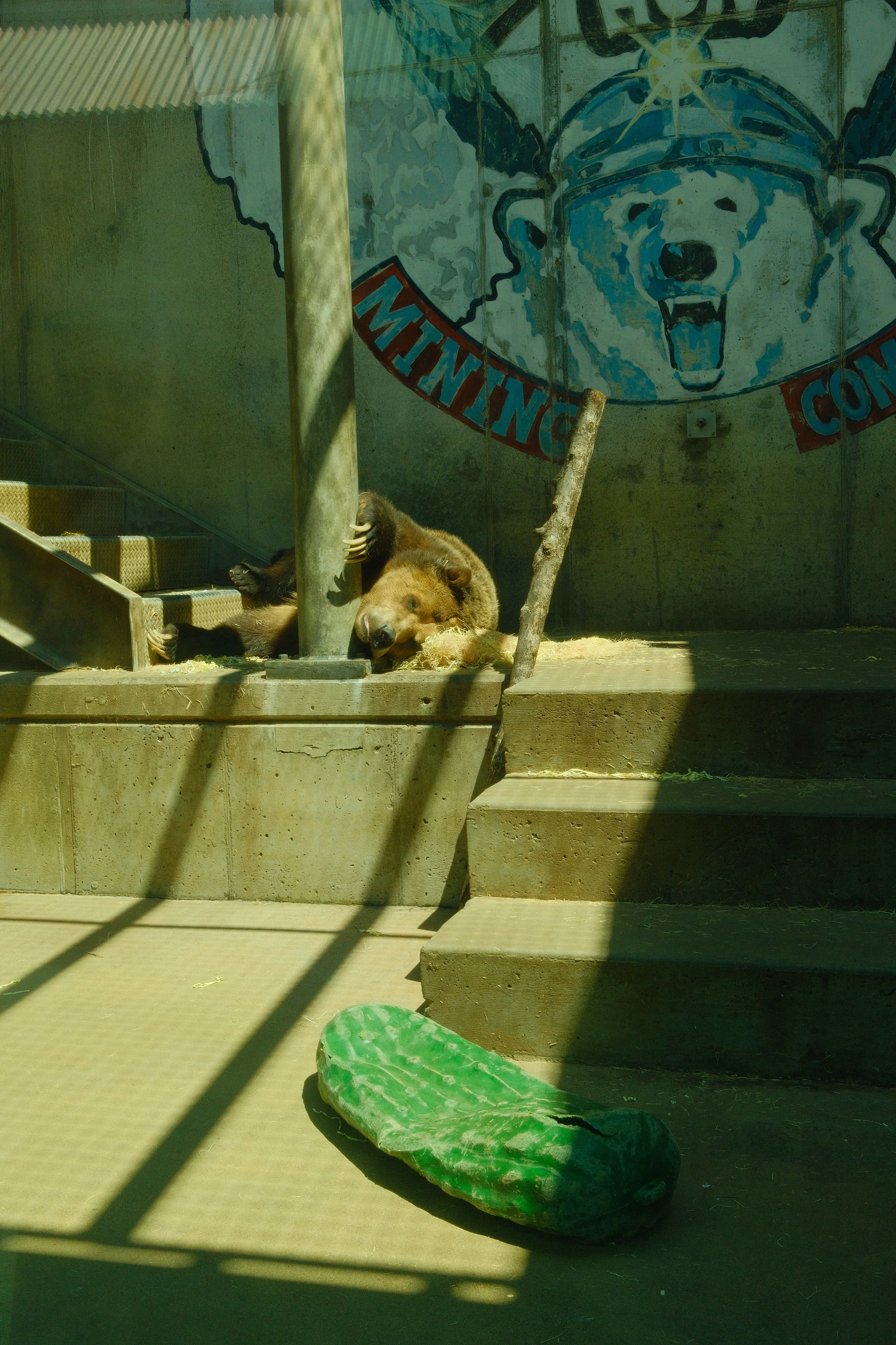 DSCF7668.JPG
