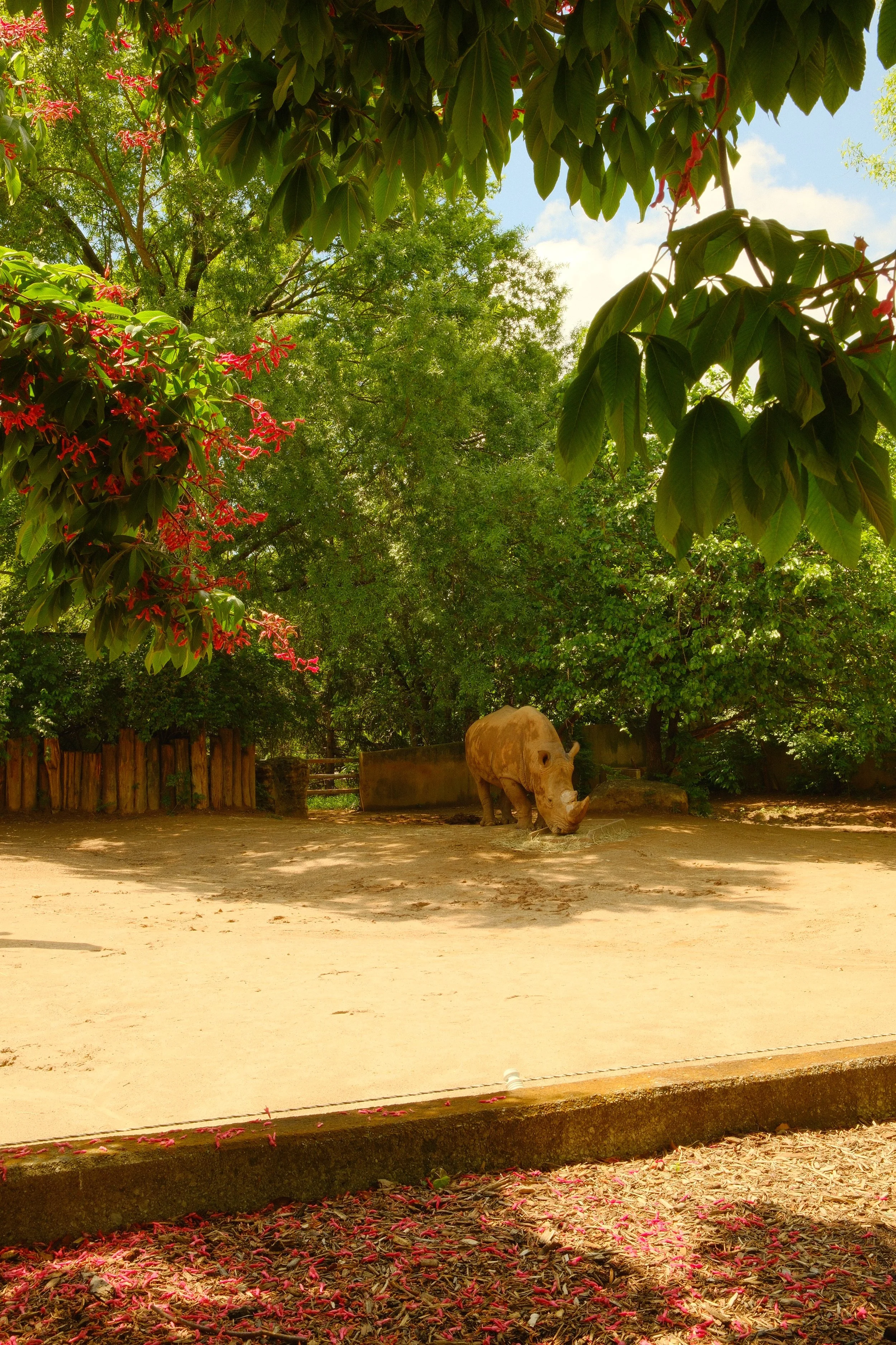 DSCF7647.JPG