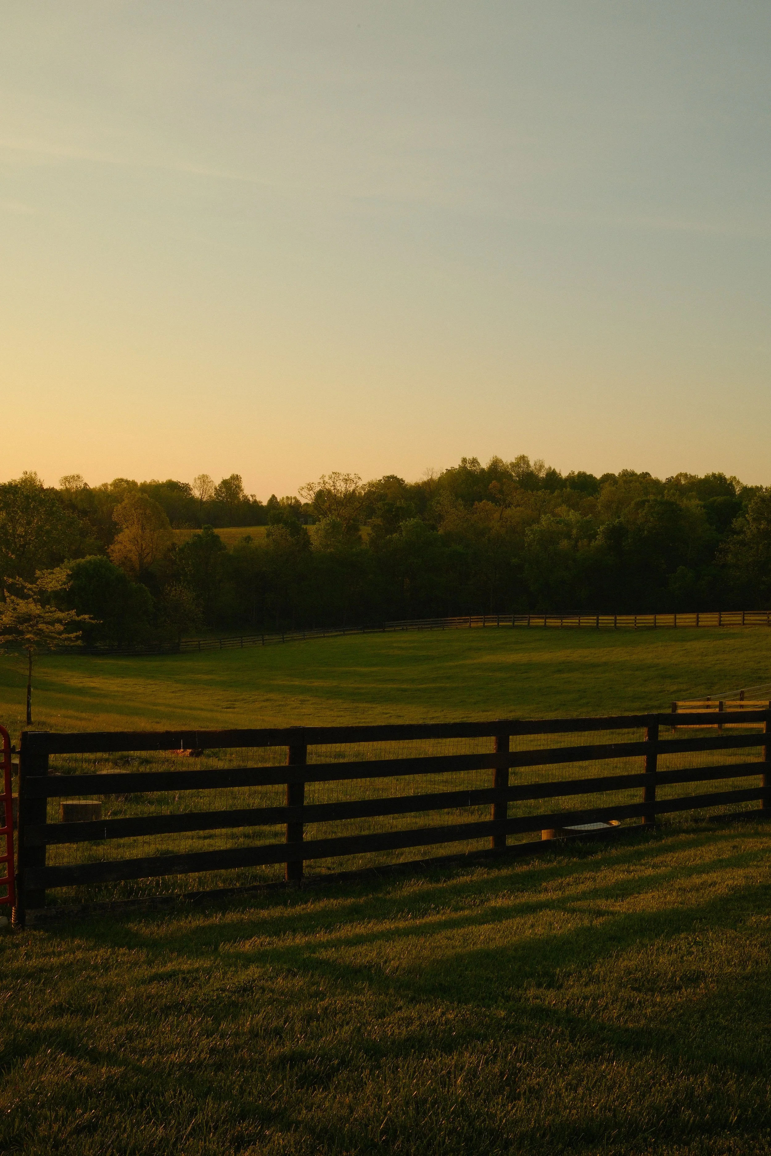 DSCF7309.JPG