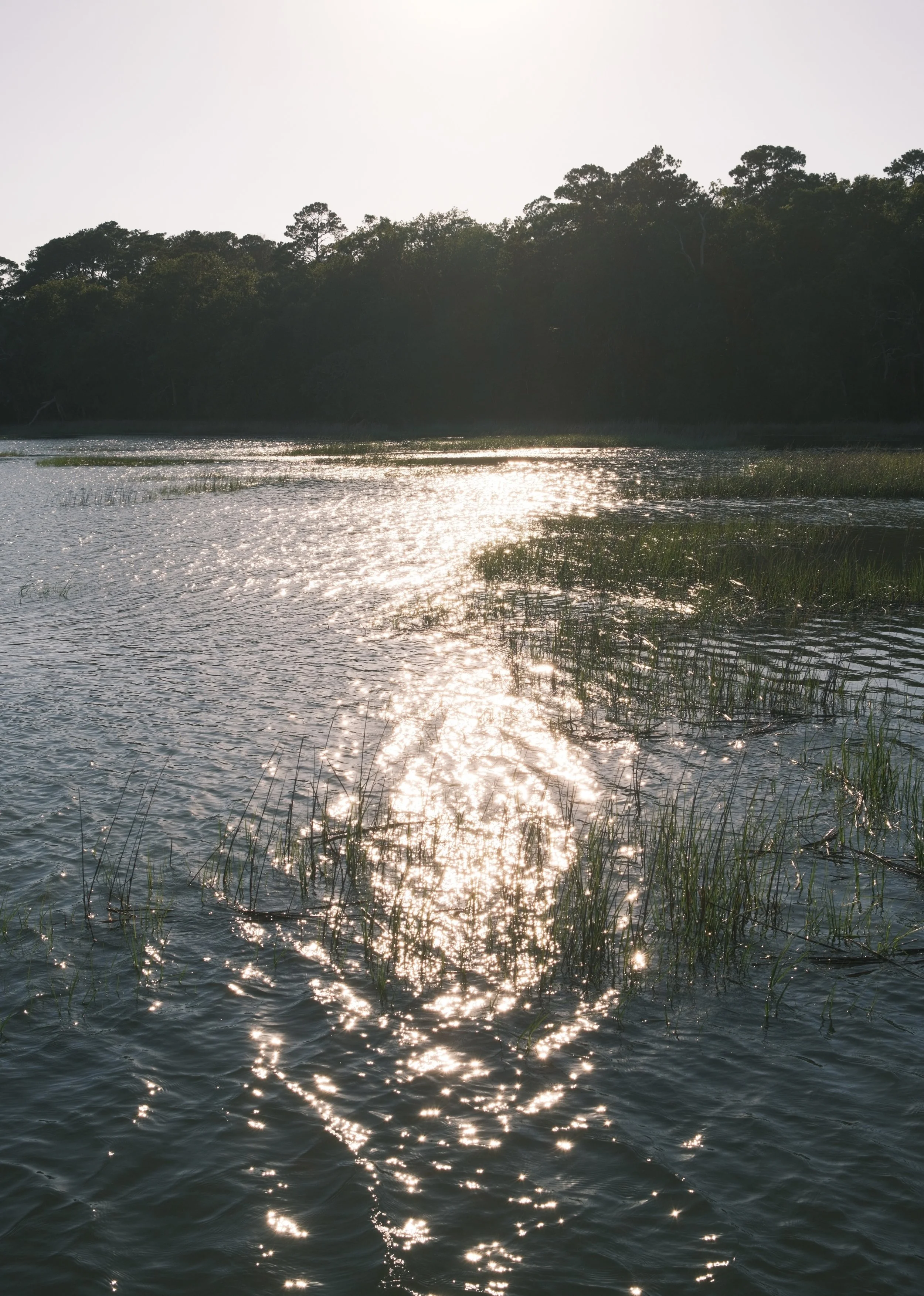 DSCF8638.jpg