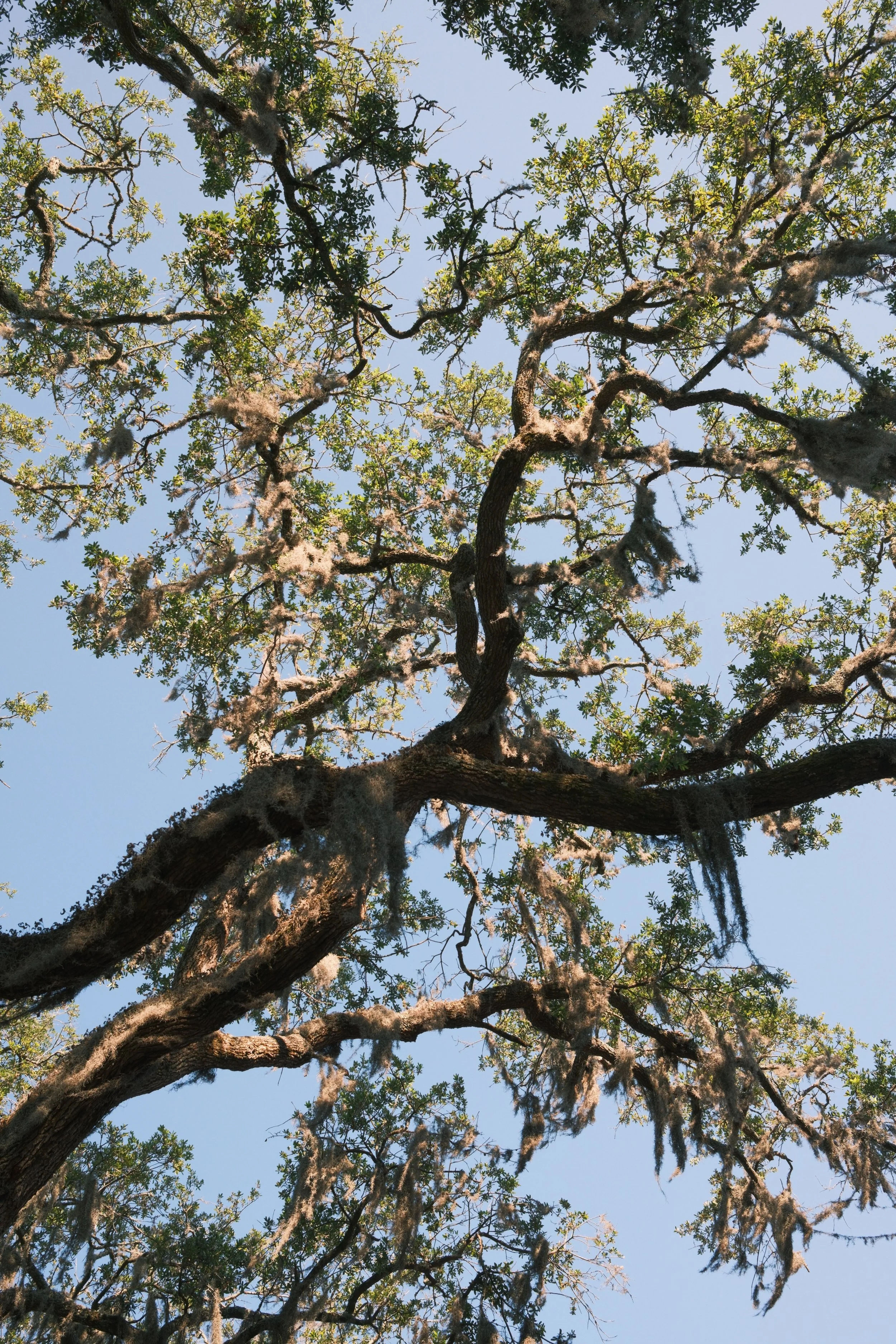 DSCF8598.JPG