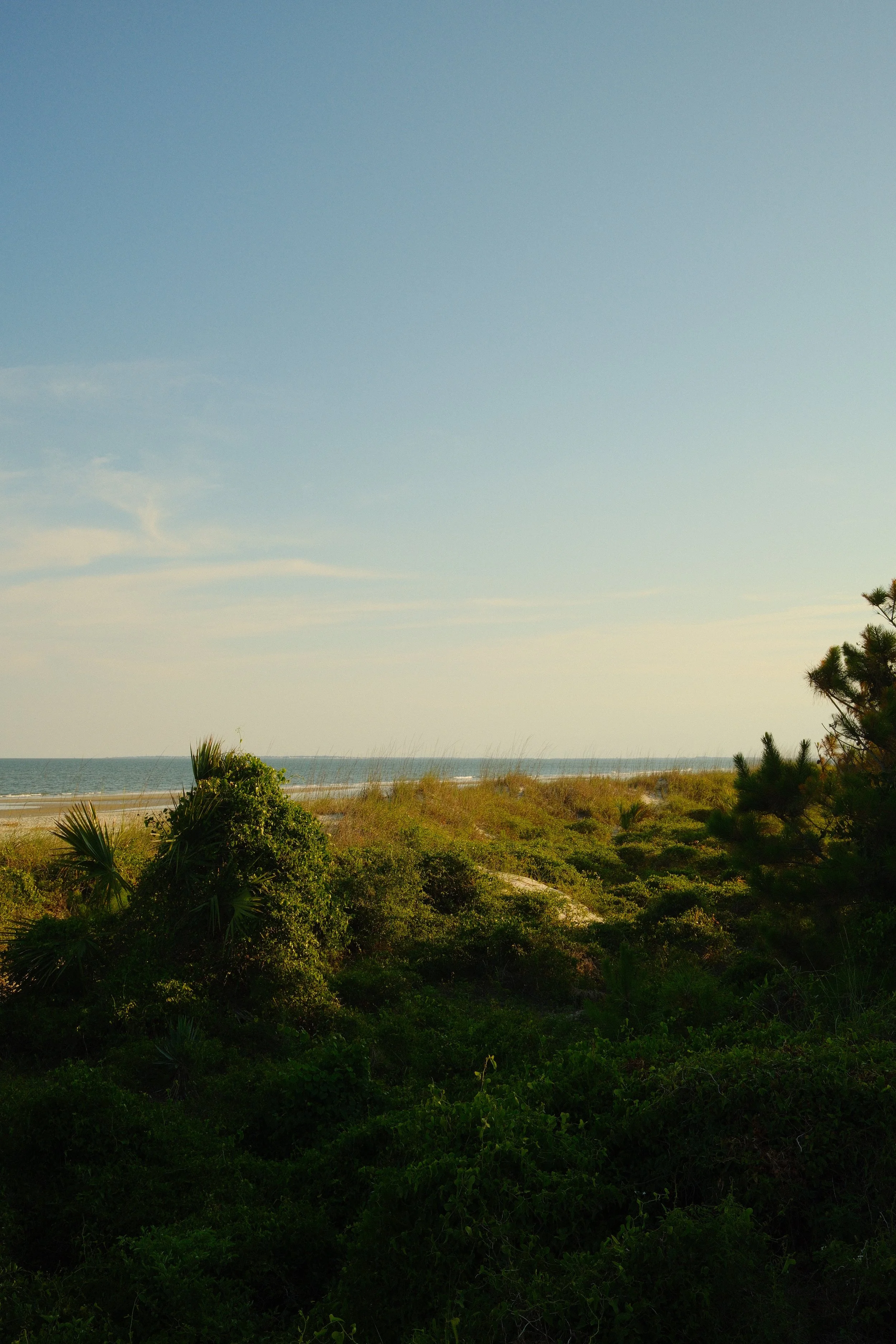 DSCF8219.JPG