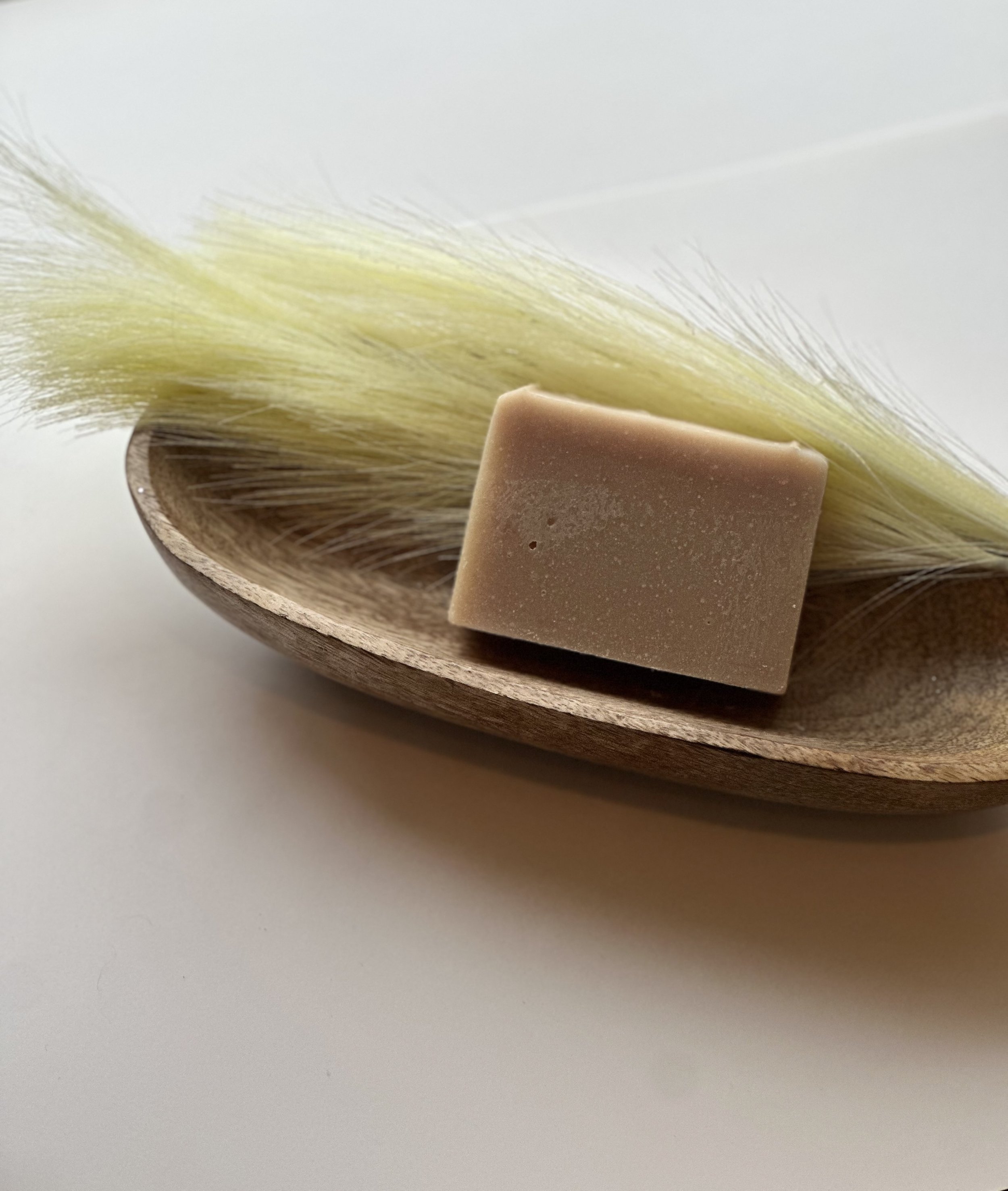 ShampooBar1.jpg