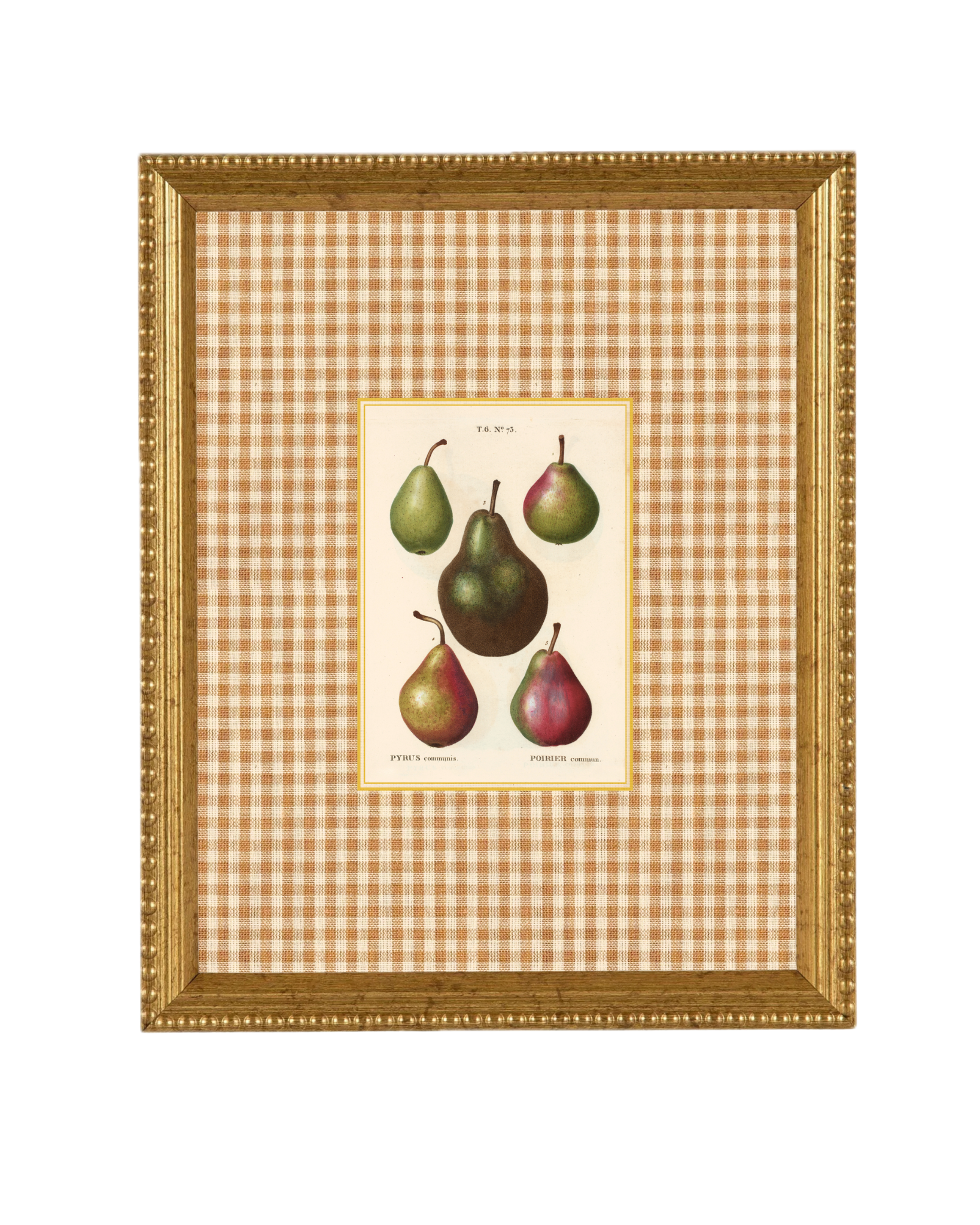 MOCKUP - Apples copy.png