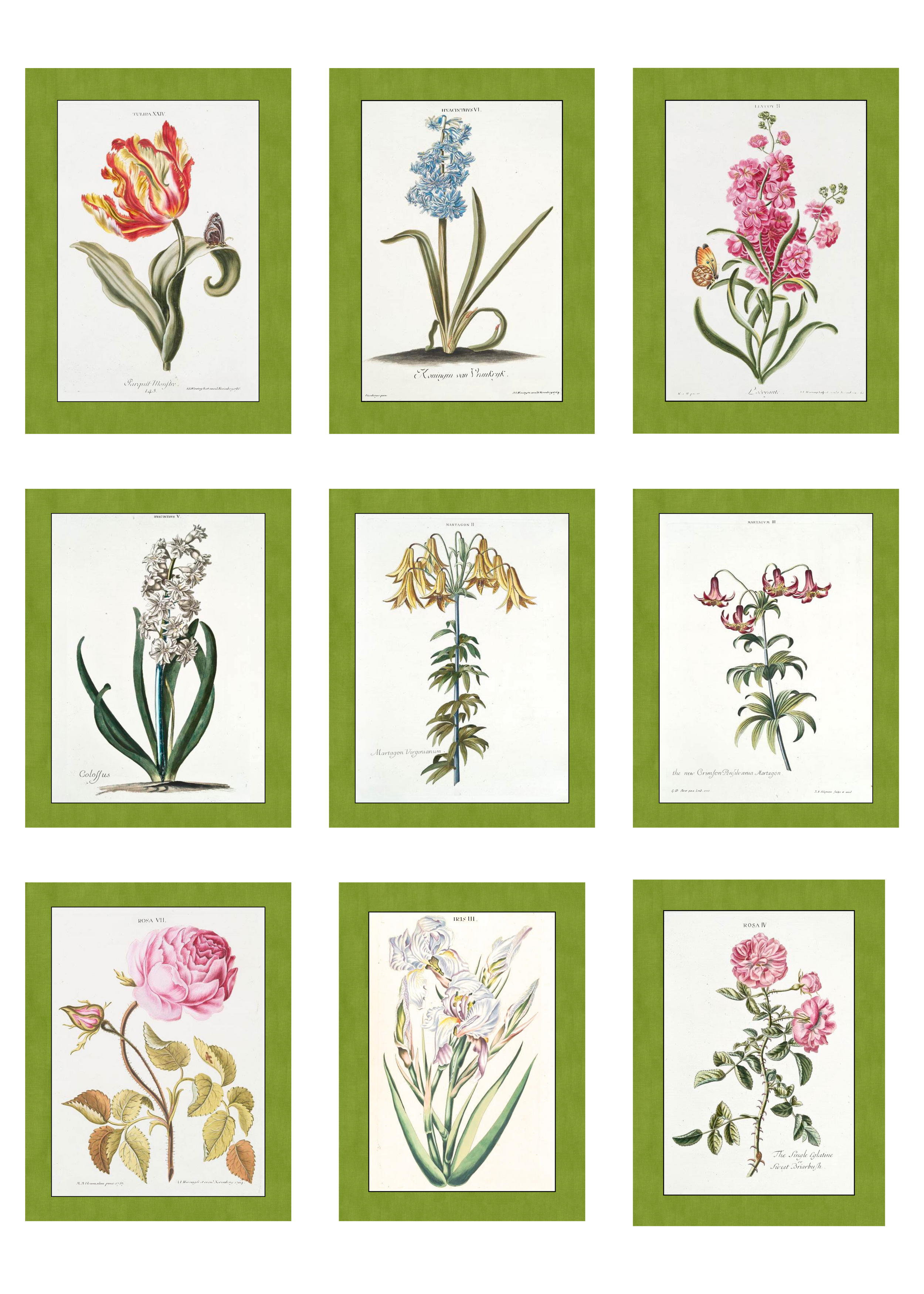 Flower Series.png