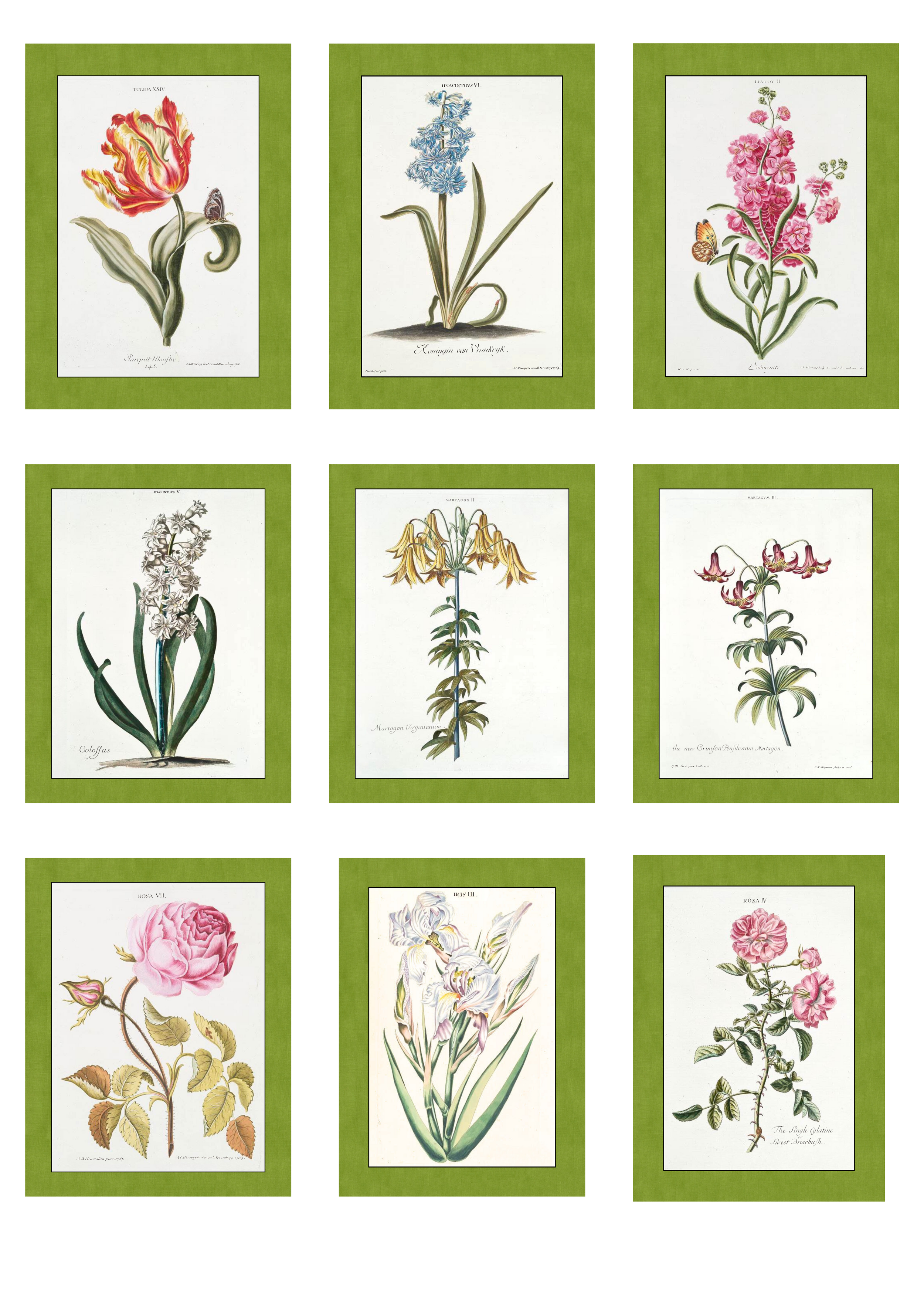 Untitled design (13).png