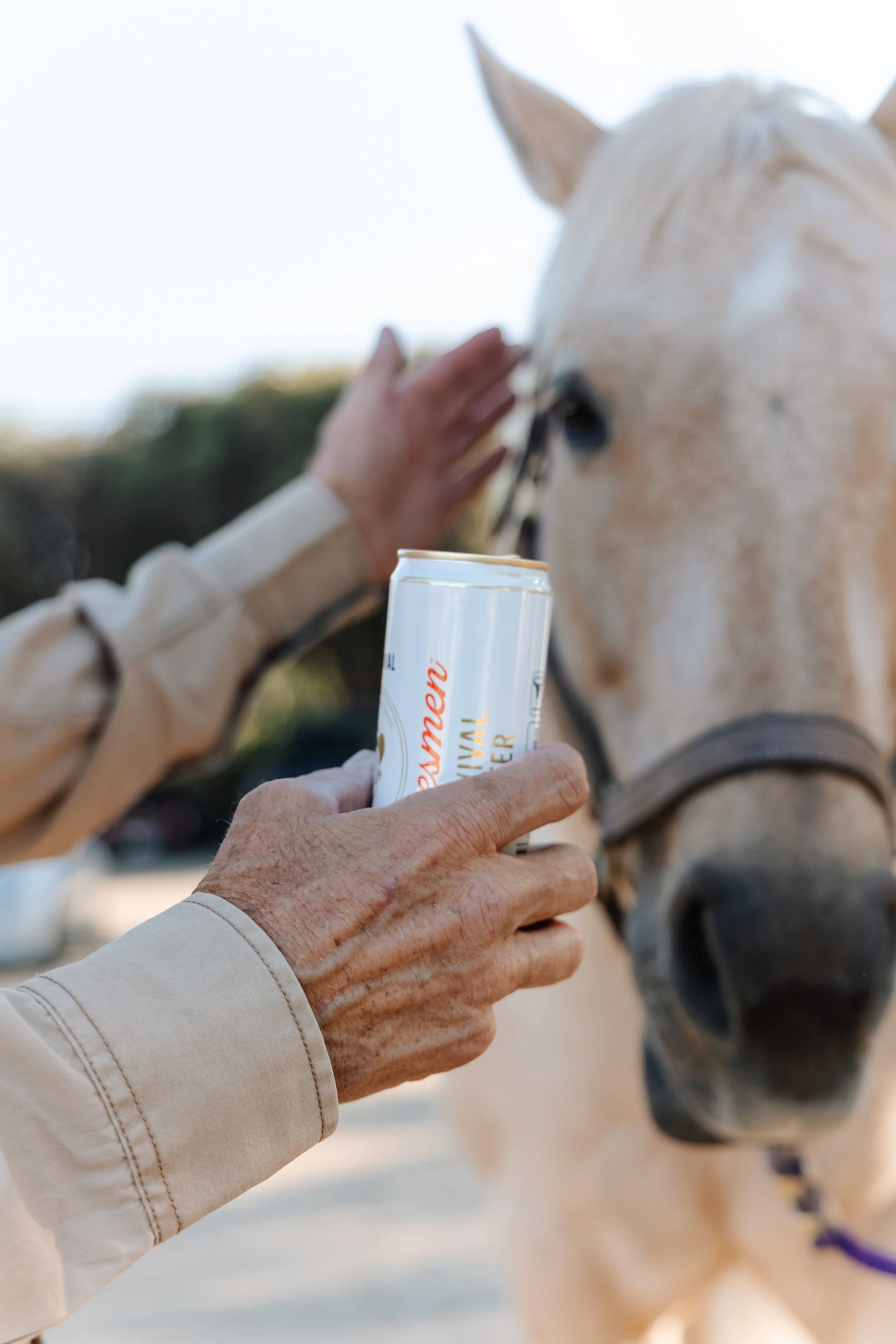 8Q7A4142-DxO_DeepPRIME 3.jpg