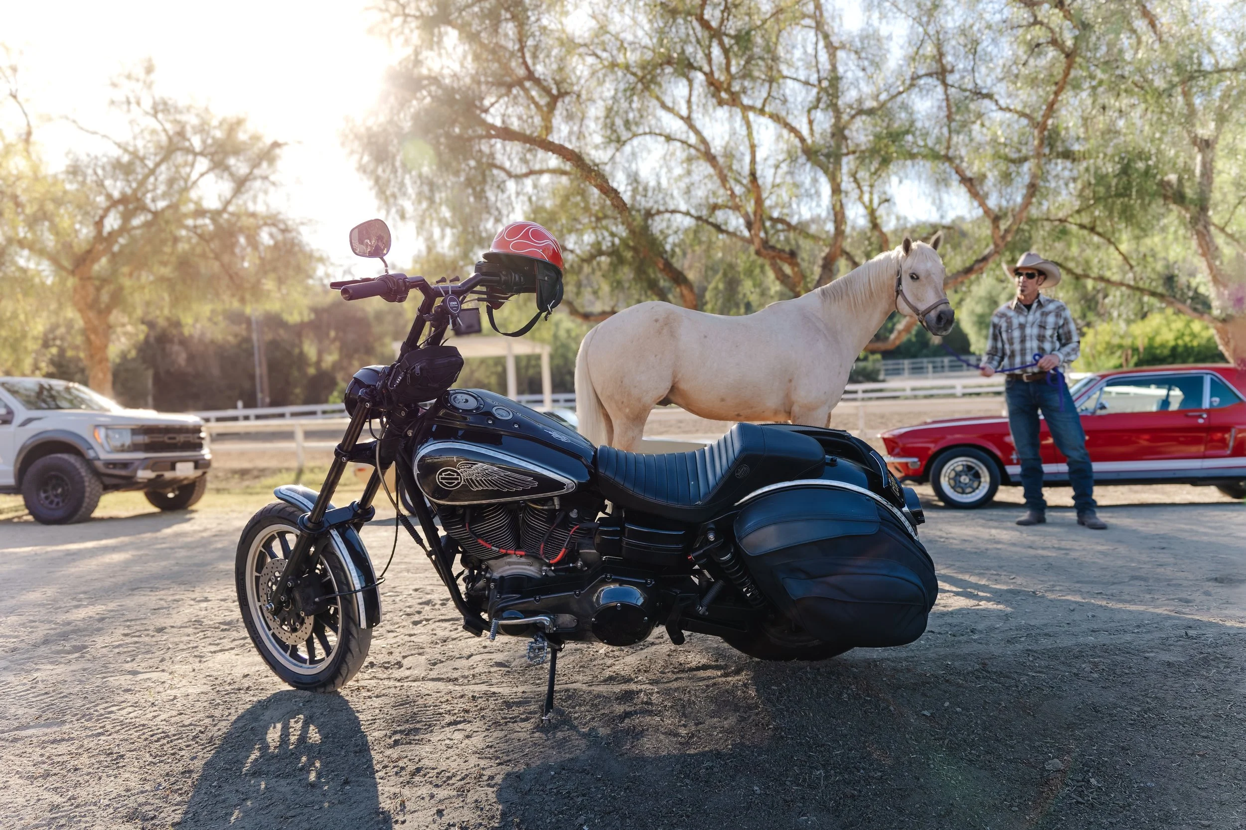 8Q7A4108-DxO_DeepPRIME 3.jpg