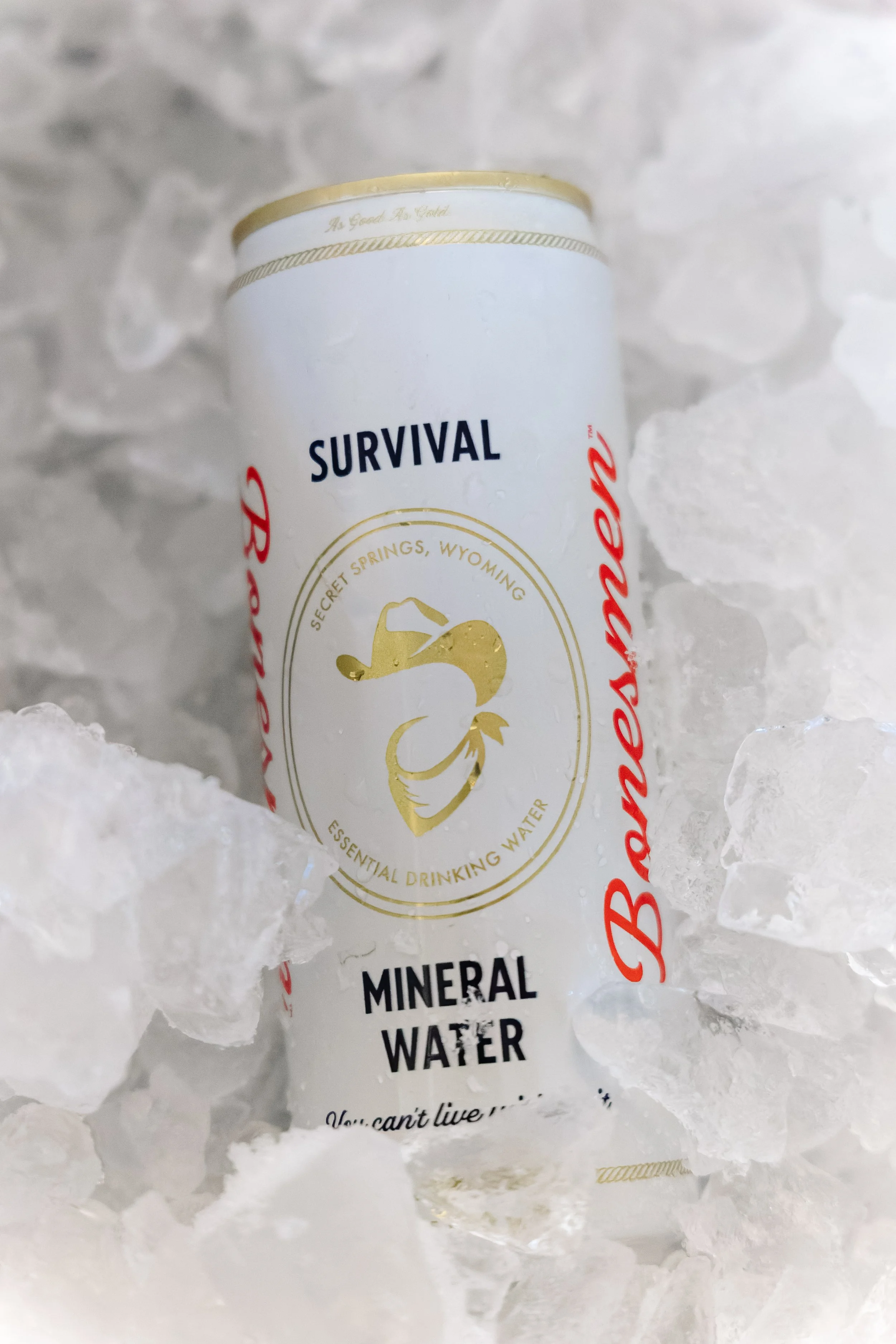 8Q7A4078-DxO_DeepPRIME 3.jpg