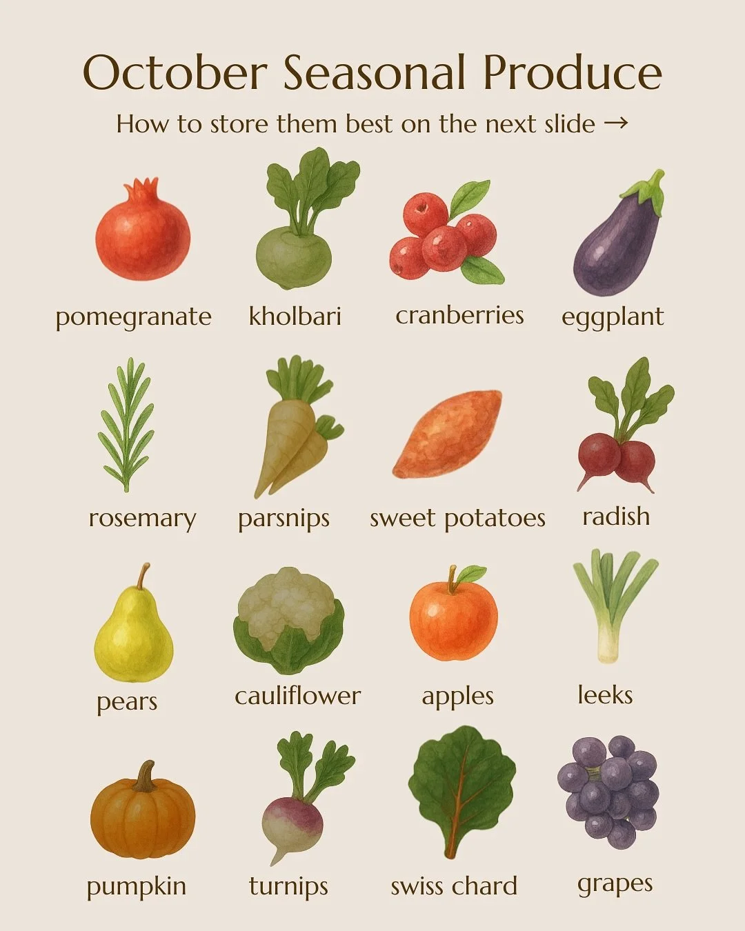 🍎🎃 October is peak season for crisp apples and hearty pumpkins, the perfect excuse to get outside, go picking, and soak up the fresh fall air. 🍂 Take advantage of seasonal produce while enjoying all the beauty autumn has to offer! 🌾 #FallHarvest 
