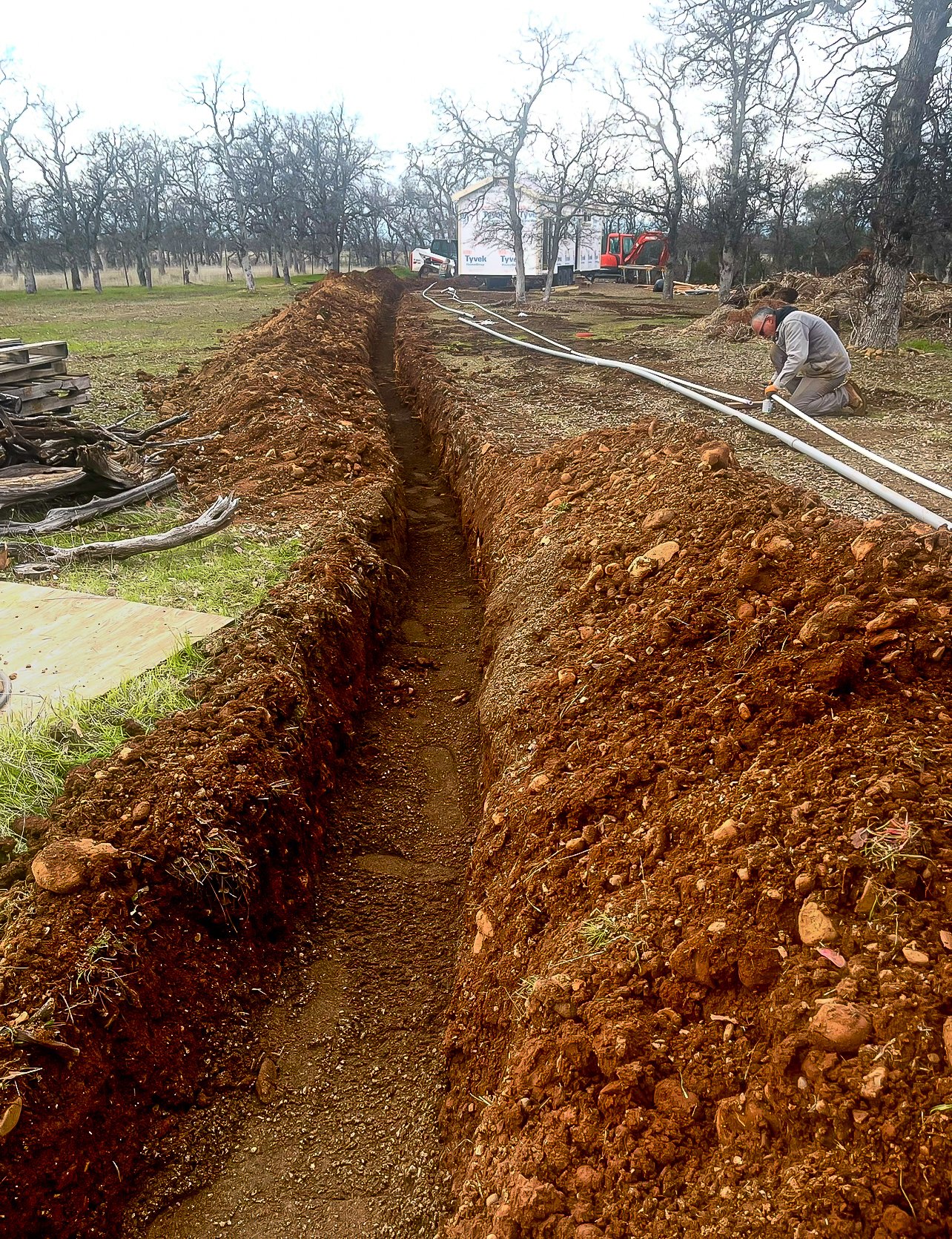Trenching 2.jpg
