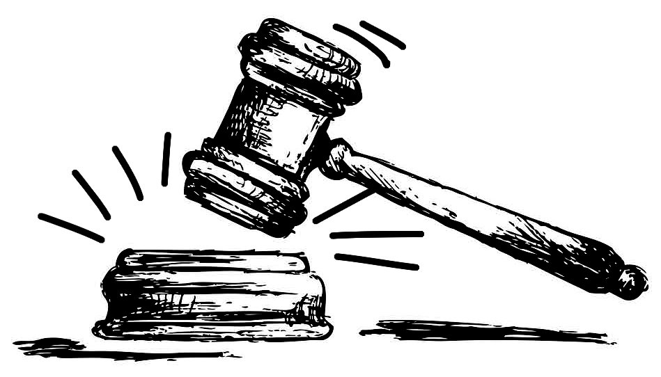 Court Watch! Training