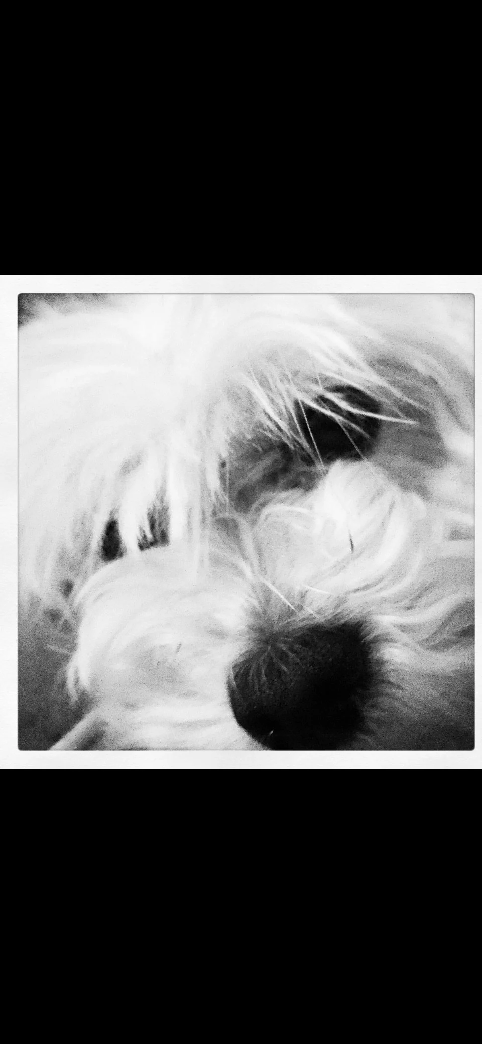 F7A14FE1-1F1C-4E3A-A763-2E71E687E206 (1).png