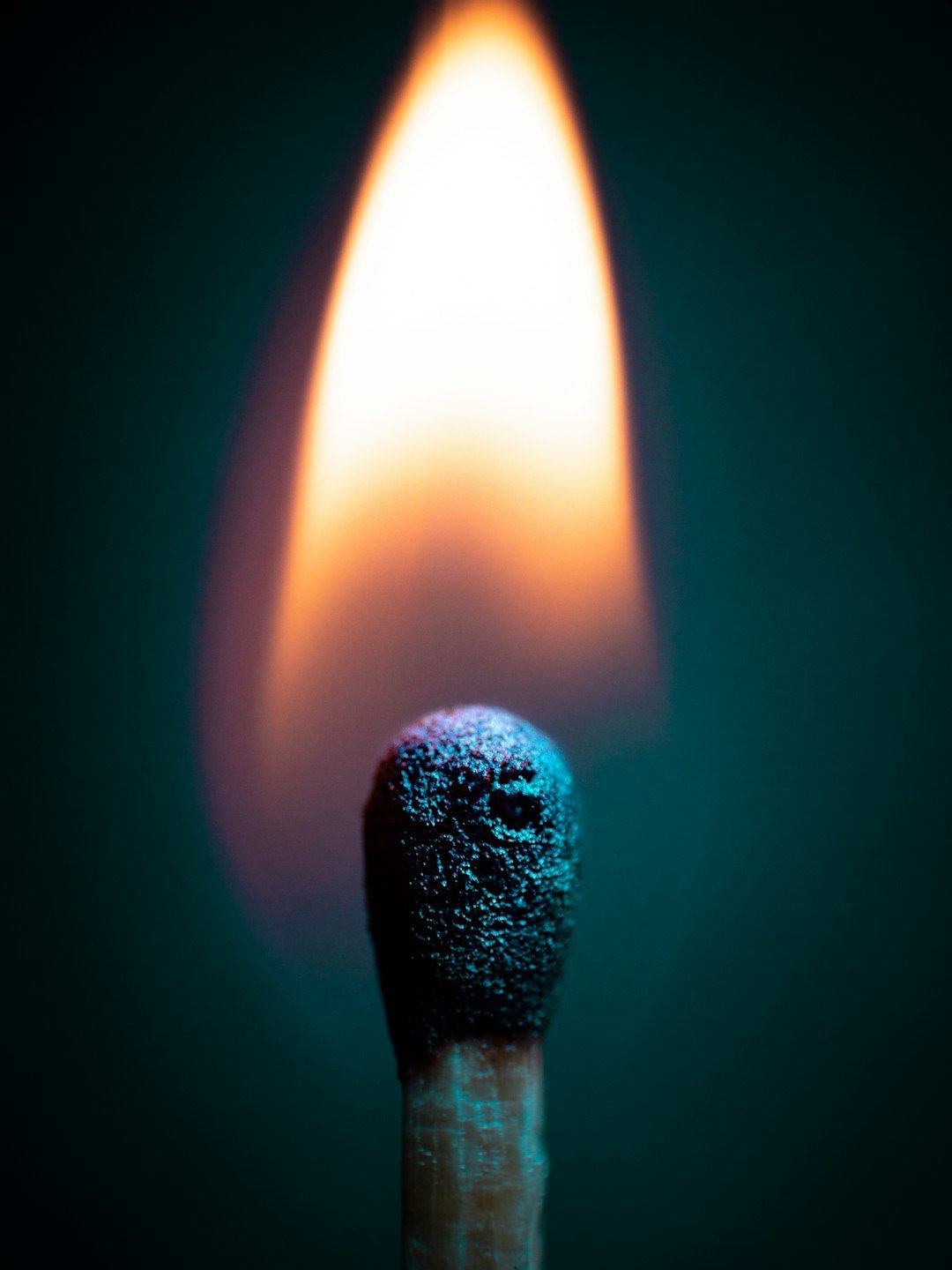 unsplash-image-k-t8oM3KJlc.jpg