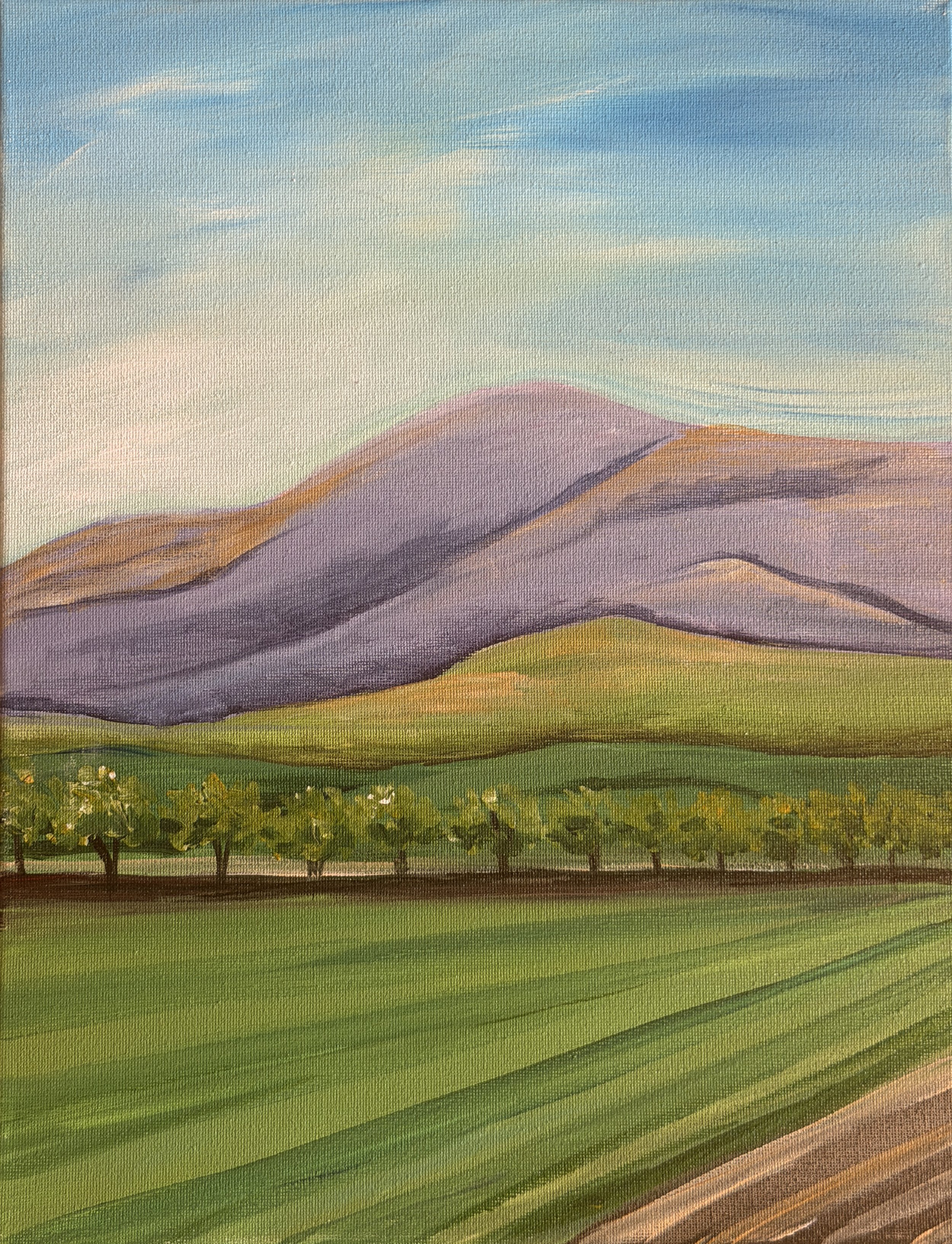 purple hills vineyard.jpg